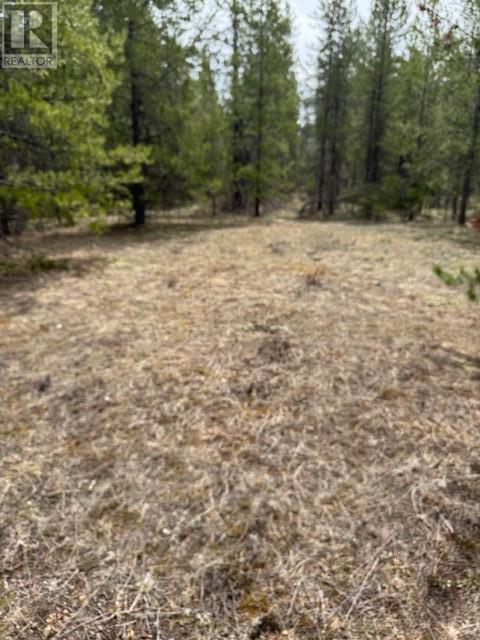5625 Burton Road Lot# A, Bridesville, British Columbia  V0H 1Y0 - Photo 3 - 10350763