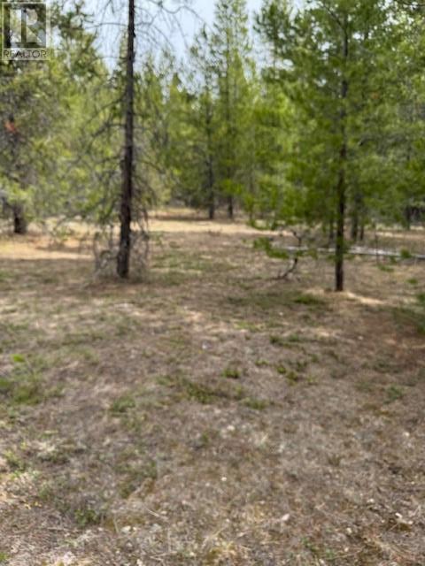 5625 Burton Road Lot# A, Bridesville, British Columbia  V0H 1Y0 - Photo 4 - 10350763