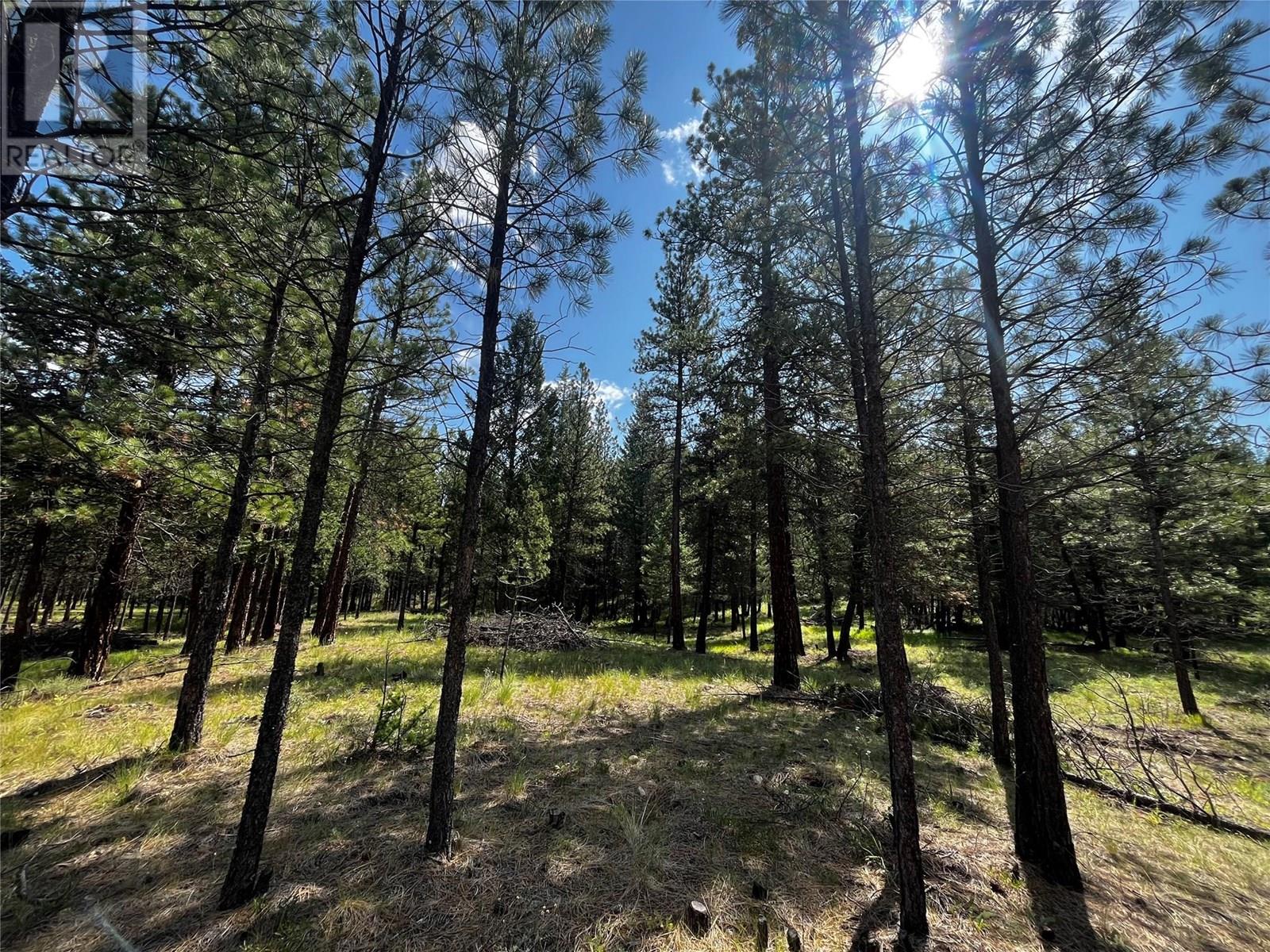 Proposed Lot 12 6145 Parnaby Road, Cranbrook, British Columbia  V1C 0C2 - Photo 4 - 10350739