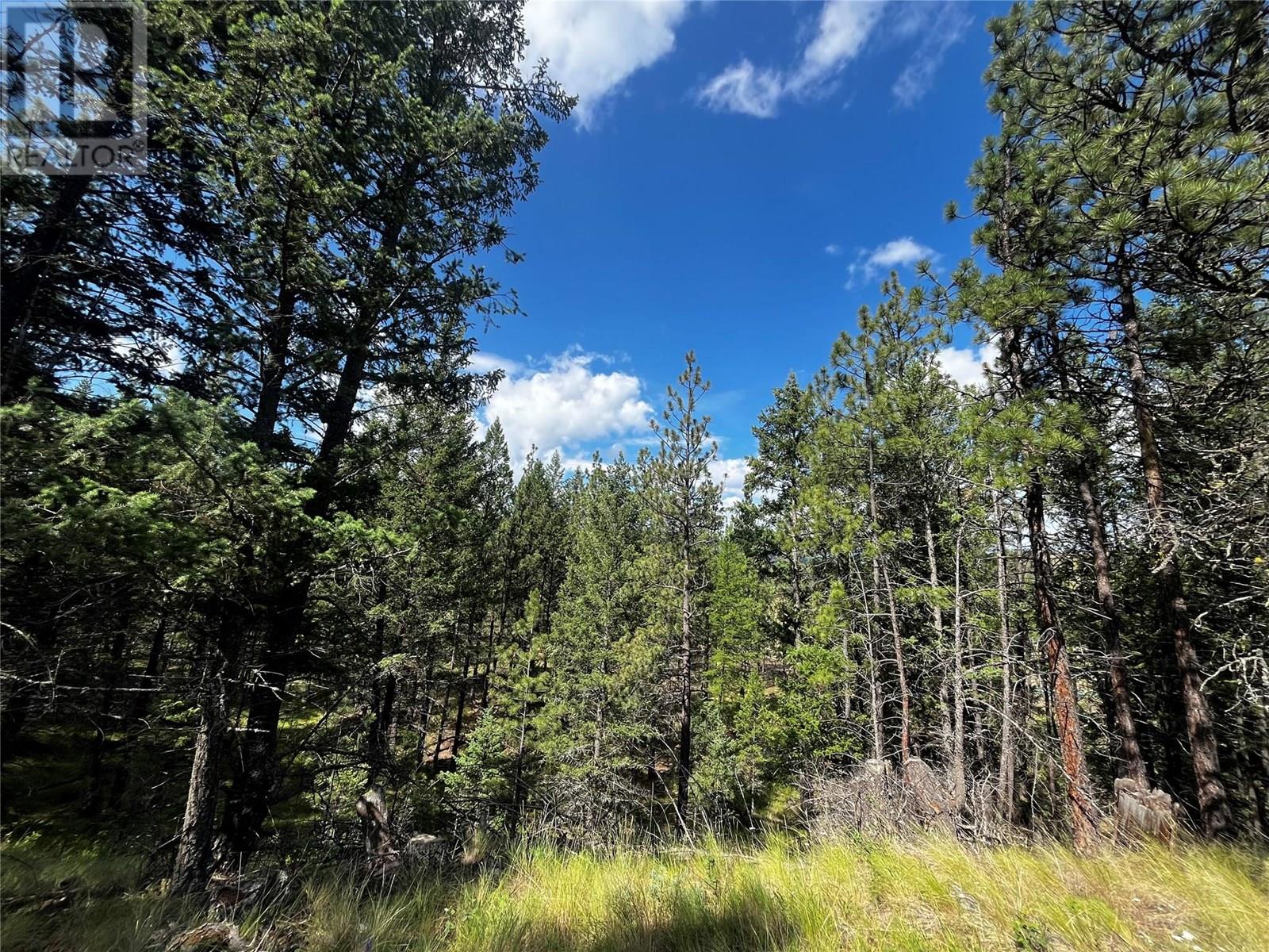 Proposed Lot 12 6145 Parnaby Road, Cranbrook, British Columbia  V1C 0C2 - Photo 5 - 10350739