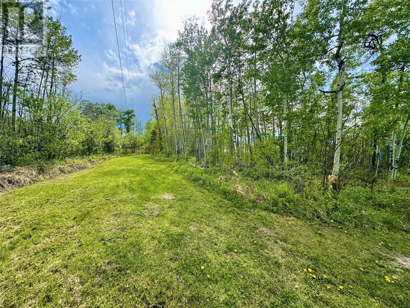 13167 Mckinnon Way, Dawson Creek, British Columbia  V1G 5A1 - Photo 44 - 10350440