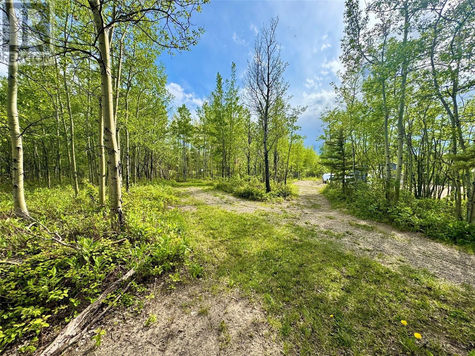 13167 Mckinnon Way, Dawson Creek, British Columbia  V1G 5A1 - Photo 45 - 10350440