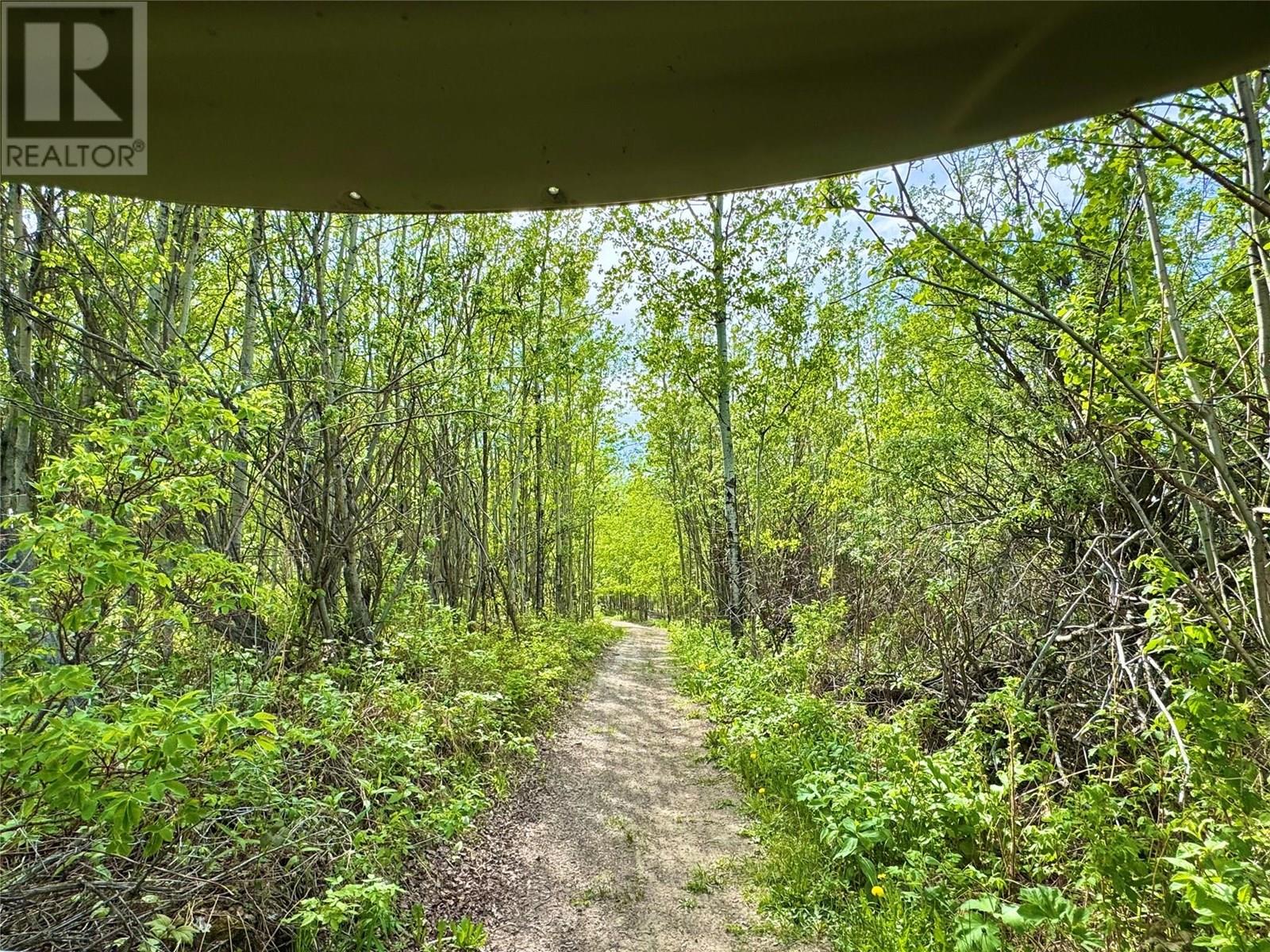 13167 Mckinnon Way, Dawson Creek, British Columbia  V1G 5A1 - Photo 46 - 10350440