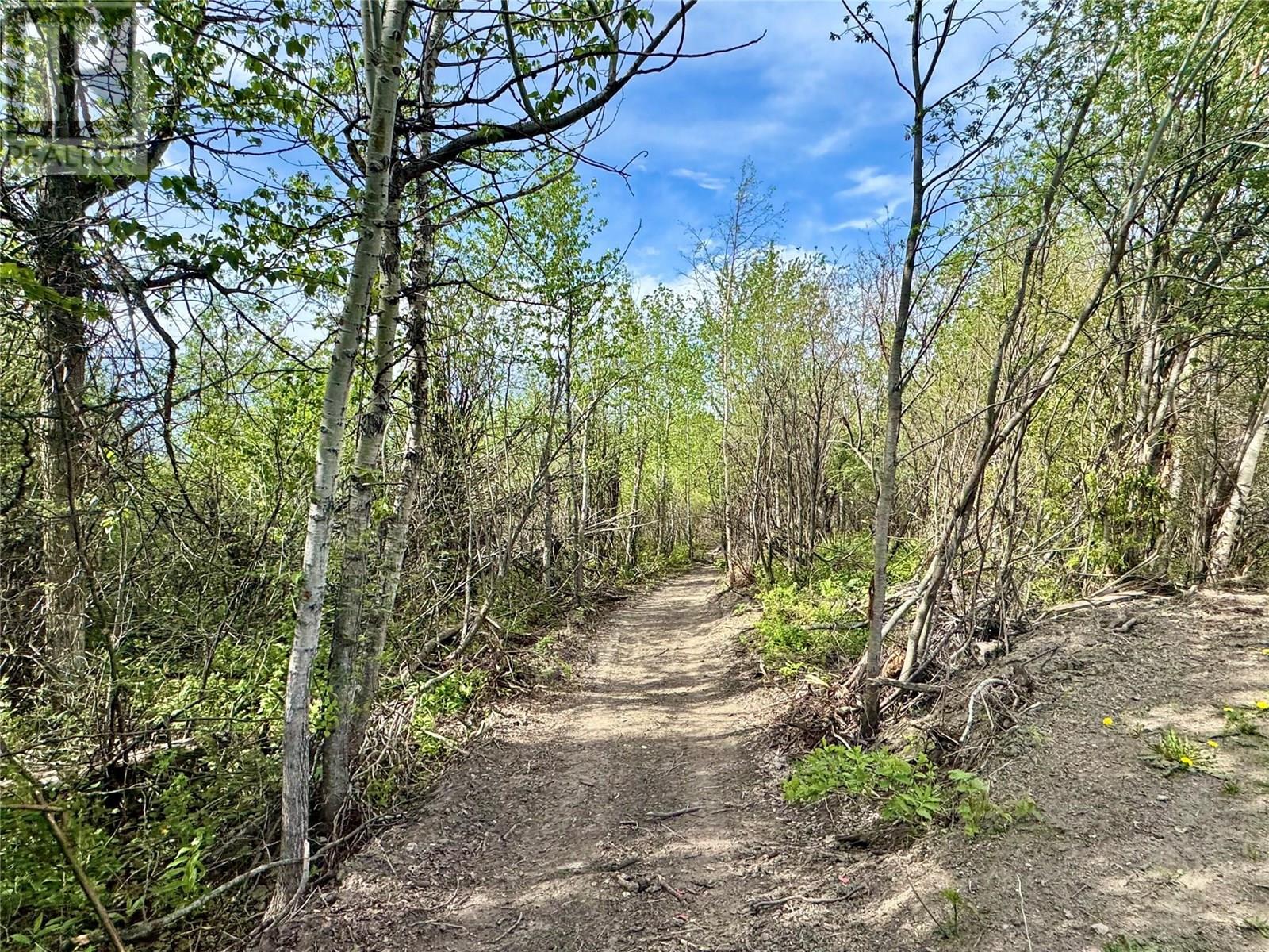 13167 Mckinnon Way, Dawson Creek, British Columbia  V1G 5A1 - Photo 47 - 10350440