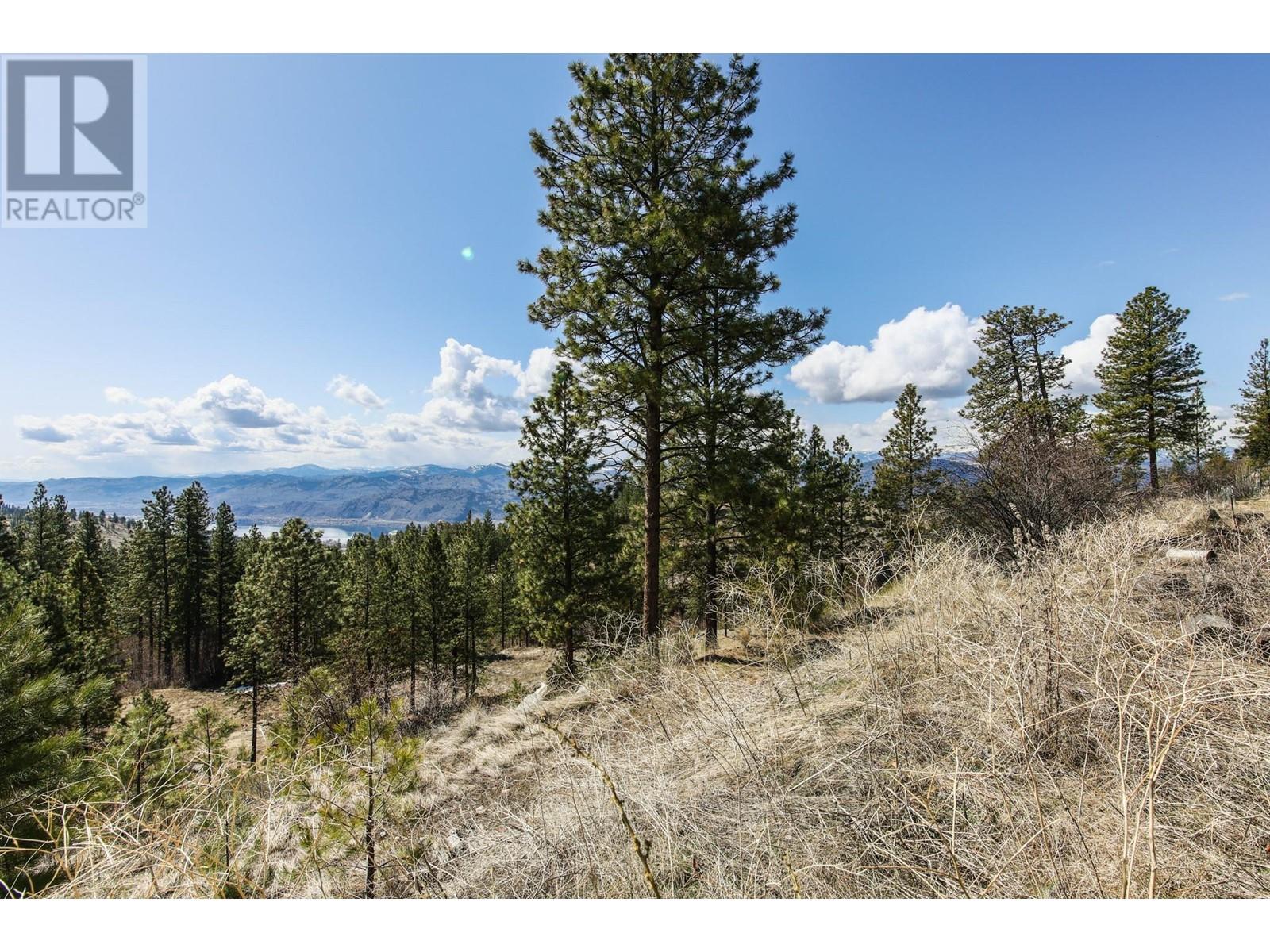 250 Longjoe Road, Osoyoos, British Columbia  V0H 1V6 - Photo 12 - 10350870