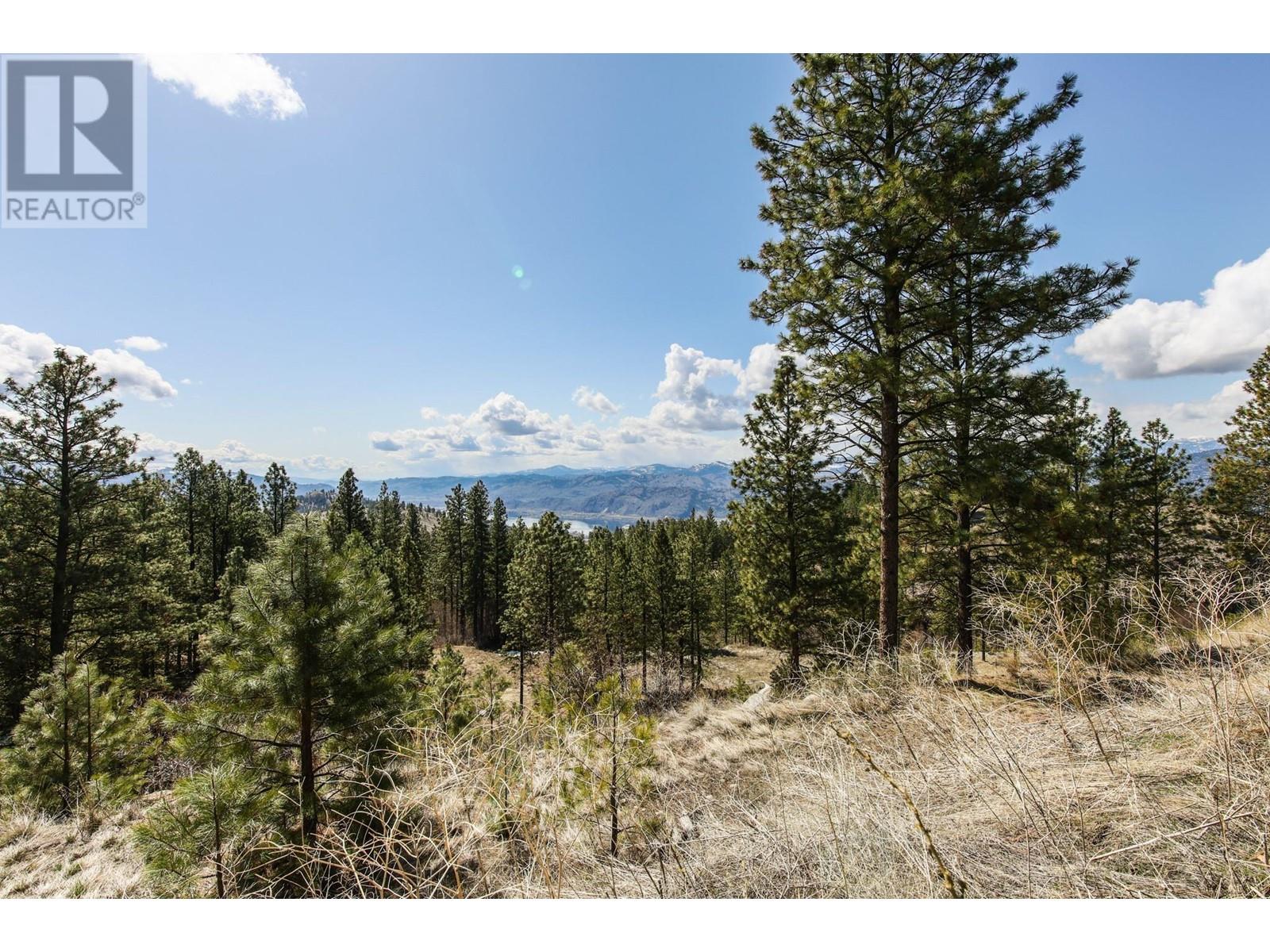 250 Longjoe Road, Osoyoos, British Columbia  V0H 1V6 - Photo 13 - 10350870