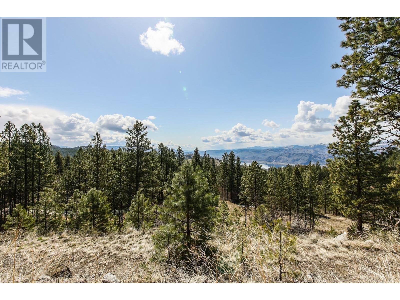 250 Longjoe Road, Osoyoos, British Columbia  V0H 1V6 - Photo 14 - 10350870