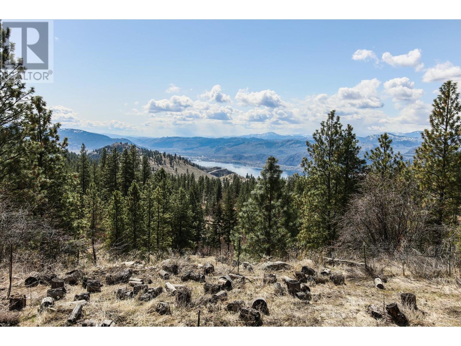 250 Longjoe Road, Osoyoos, British Columbia  V0H 1V6 - Photo 25 - 10350870