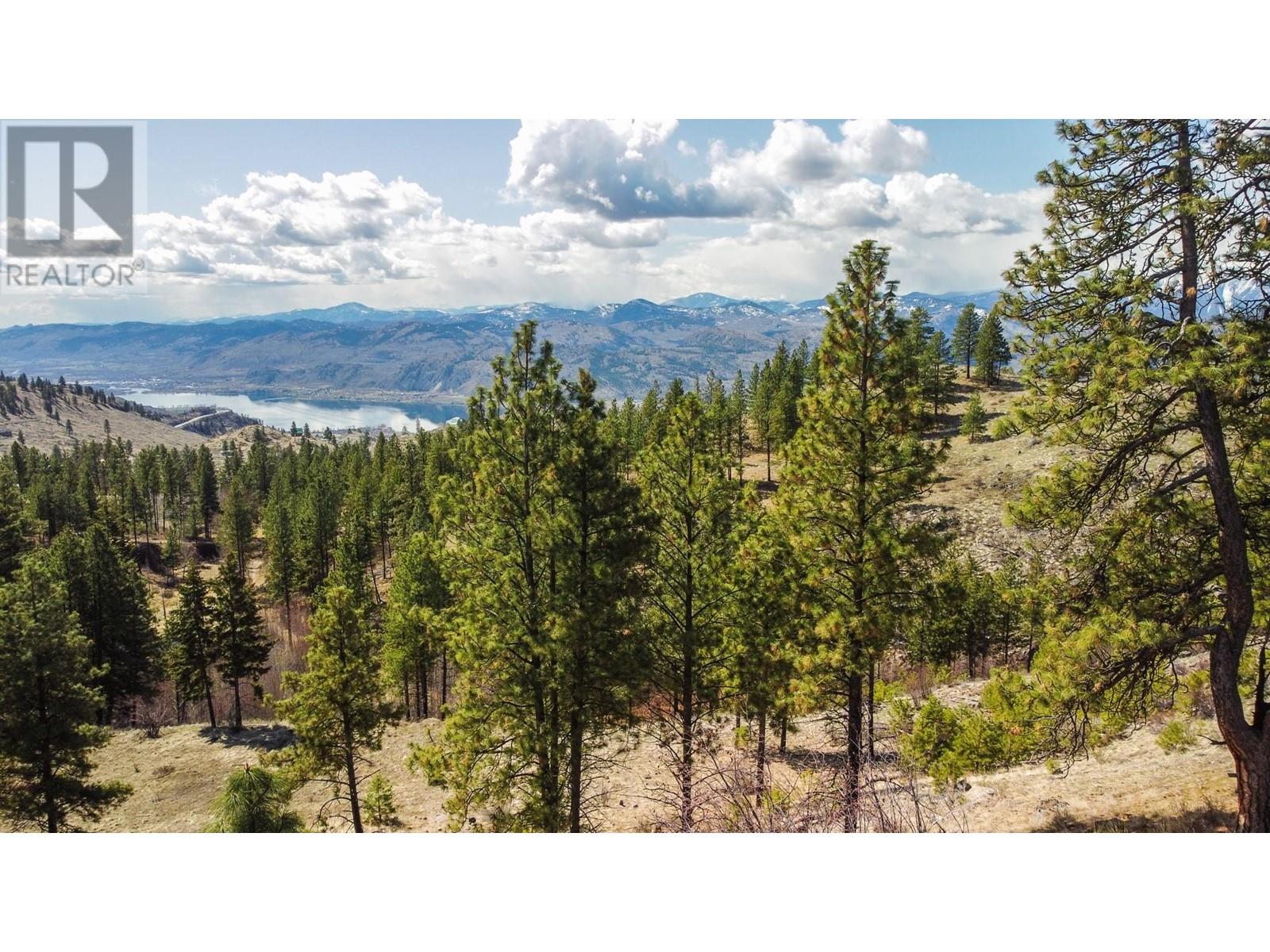250 Longjoe Road, Osoyoos, British Columbia  V0H 1V6 - Photo 50 - 10350870