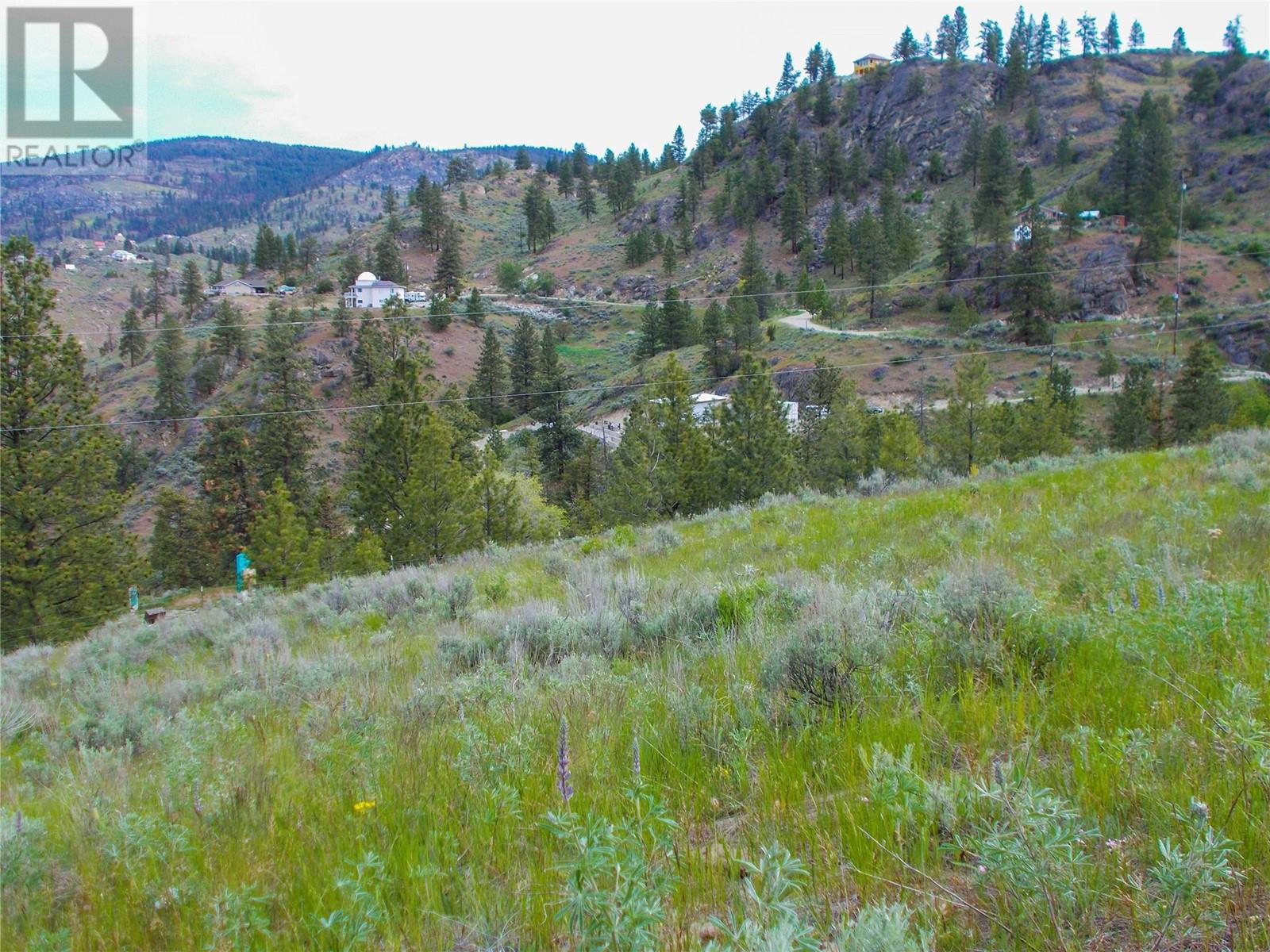 1345 3 Highway, Osoyoos, British Columbia  V0H 1V6 - Photo 12 - 10351150
