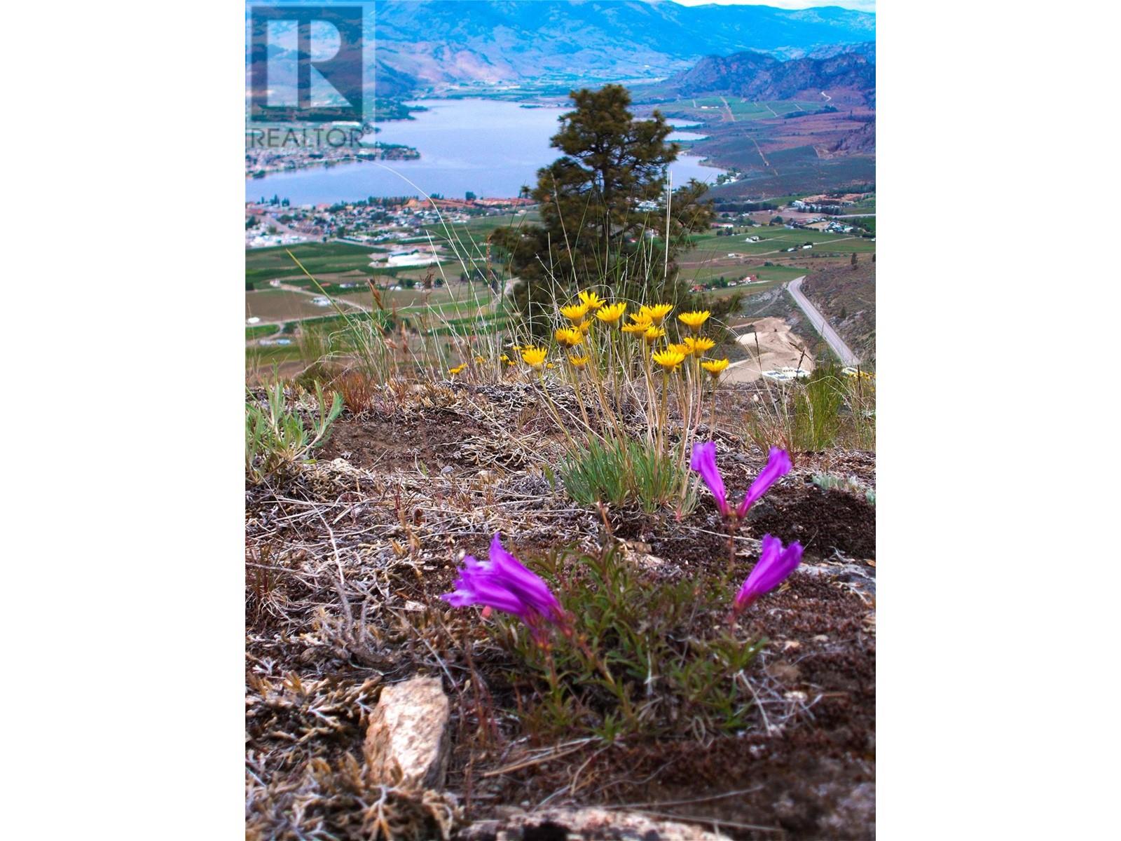 1345 3 Highway, Osoyoos, British Columbia  V0H 1V6 - Photo 13 - 10351150