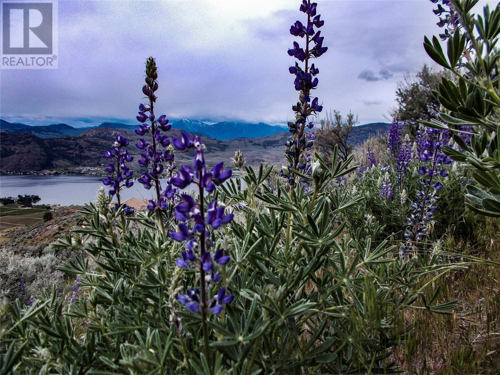 1345 3 Highway, Osoyoos, British Columbia  V0H 1V6 - Photo 14 - 10351150