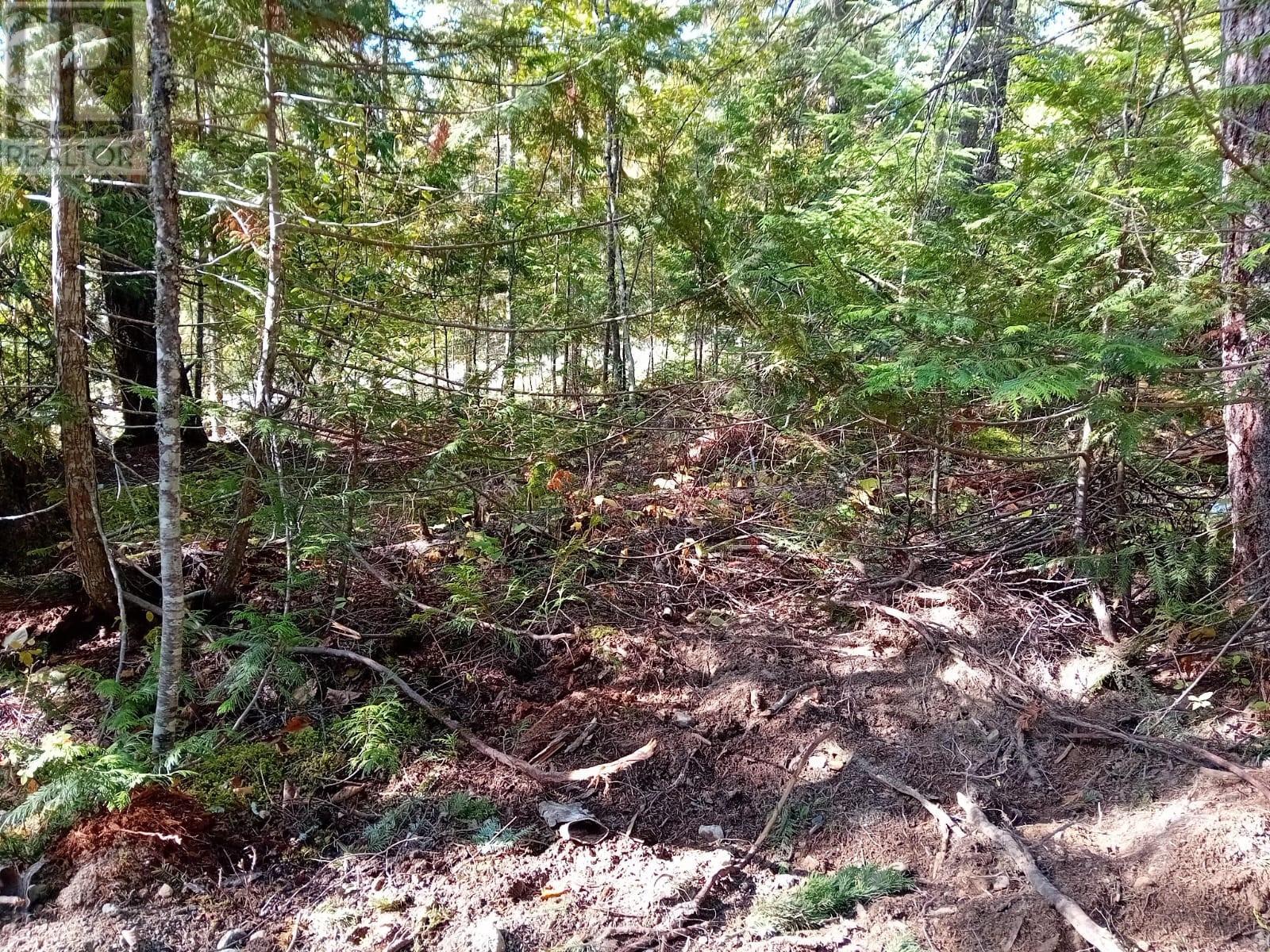 372 Aspen Road, Anglemont, British Columbia  V0E 1M8 - Photo 1 - 10351128