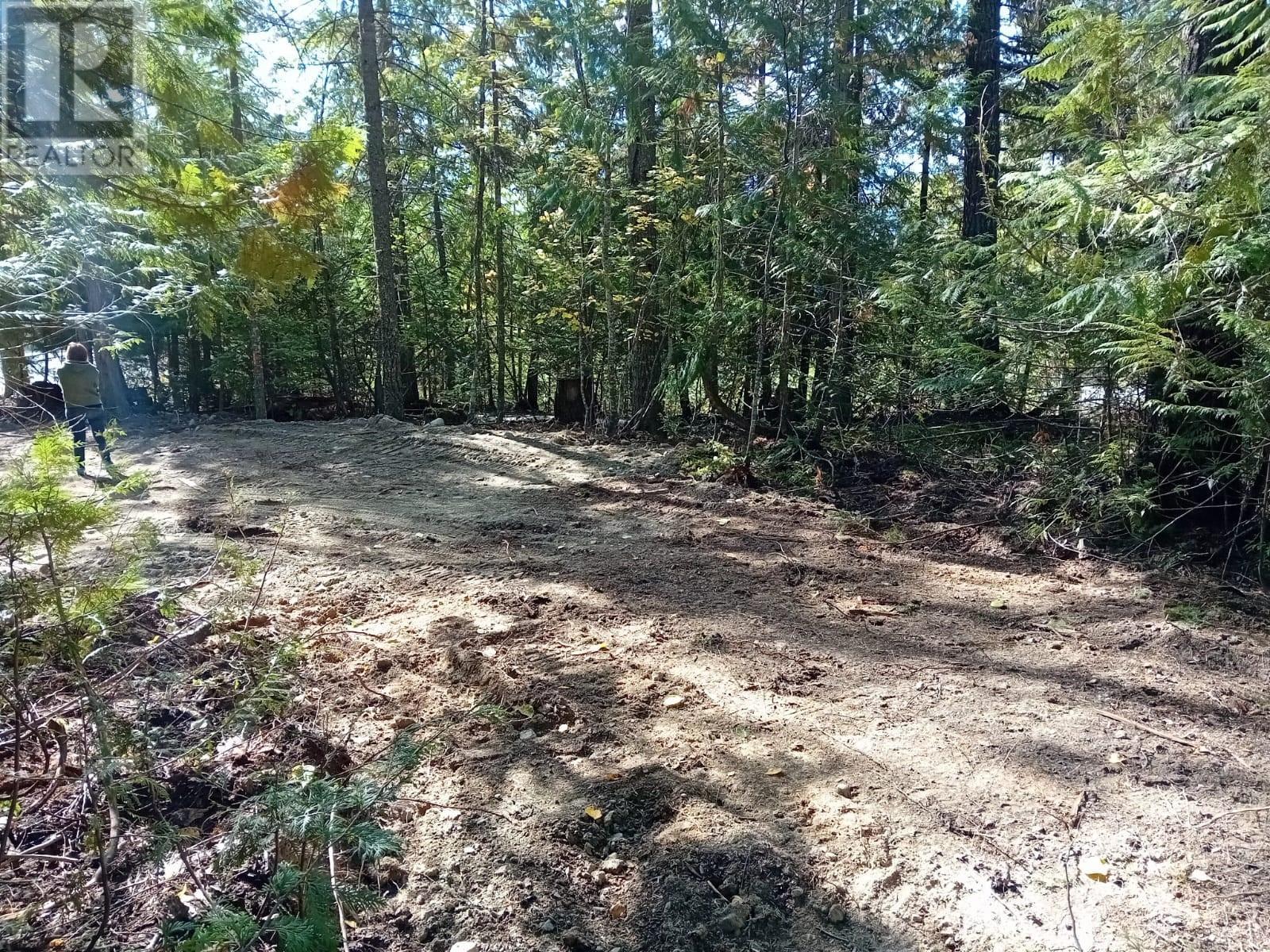 372 Aspen Road, Anglemont, British Columbia  V0E 1M8 - Photo 2 - 10351128