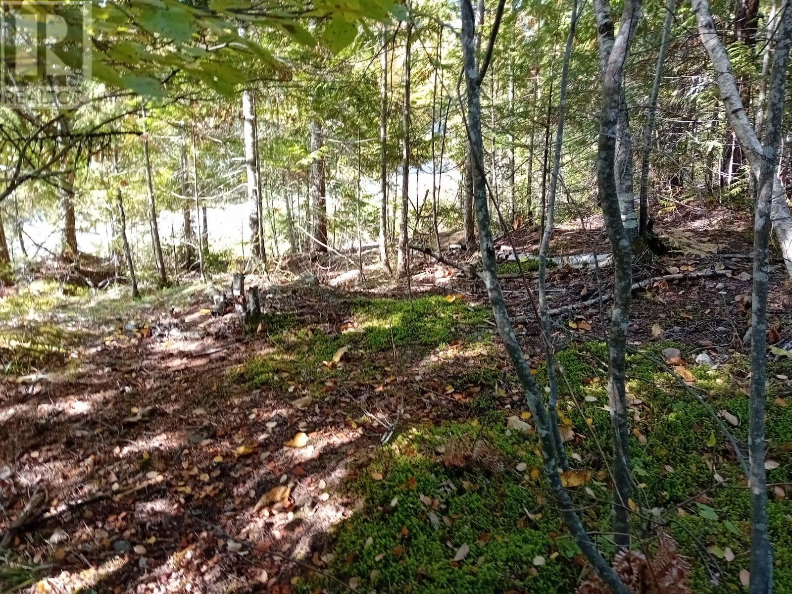 372 Aspen Road, Anglemont, British Columbia  V0E 1M8 - Photo 4 - 10351128