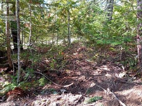 372 Aspen Road, Anglemont, British Columbia  V0E 1M8 - Photo 7 - 10351128