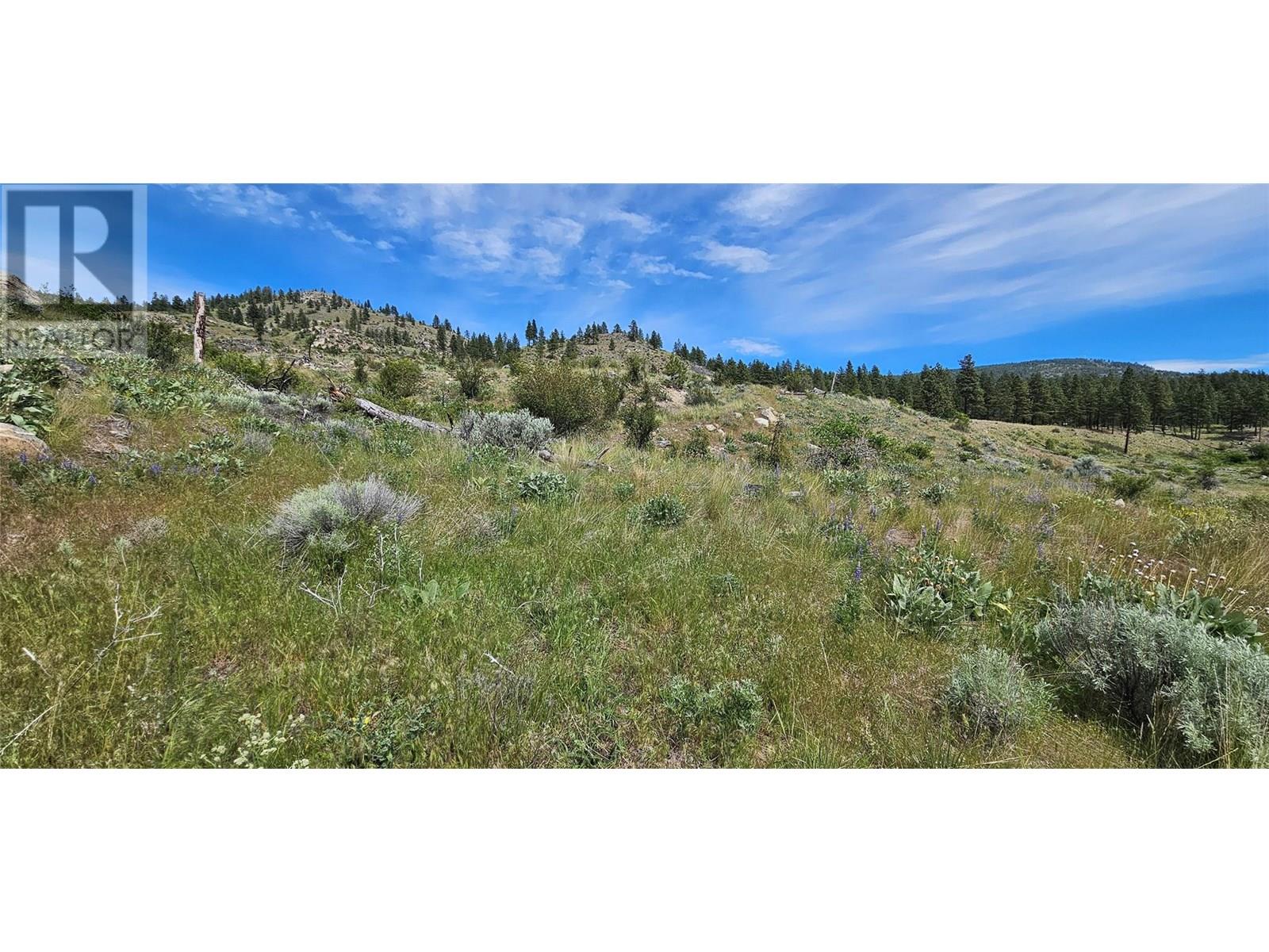 389 Chapman Road, Osoyoos, British Columbia  V0H 1V6 - Photo 11 - 10351073