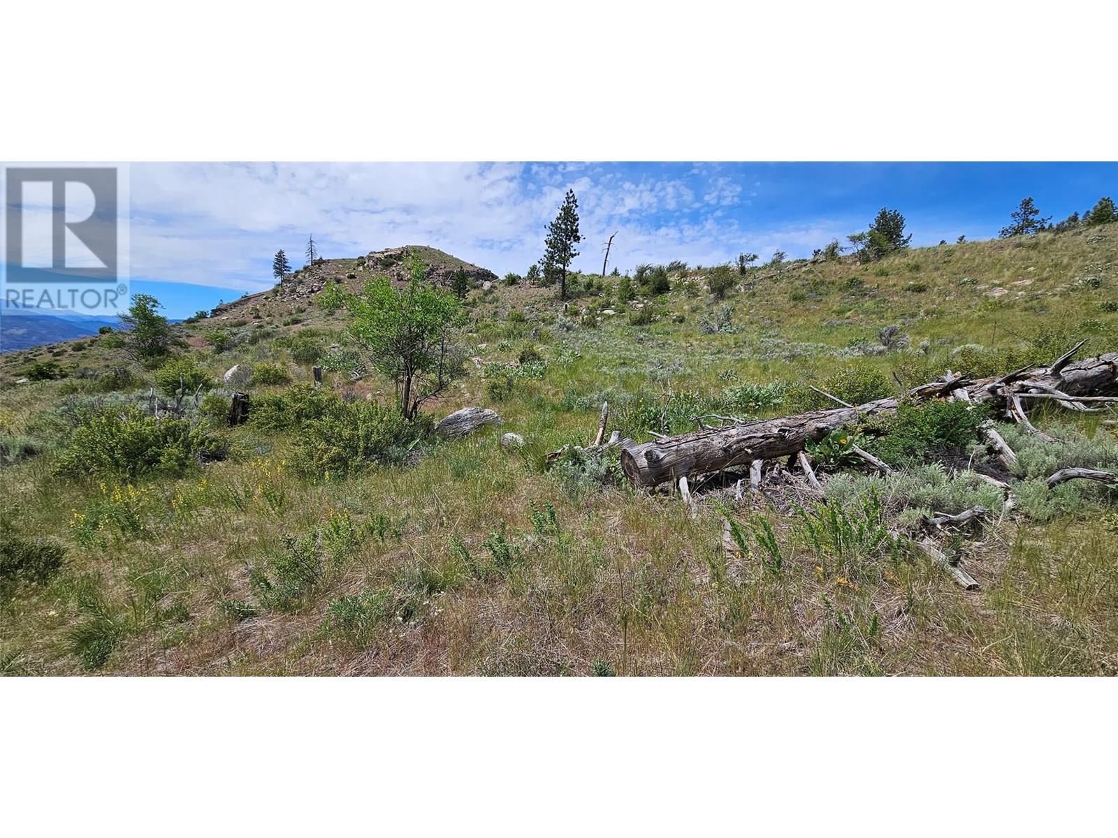 389 Chapman Road, Osoyoos, British Columbia  V0H 1V6 - Photo 6 - 10351073