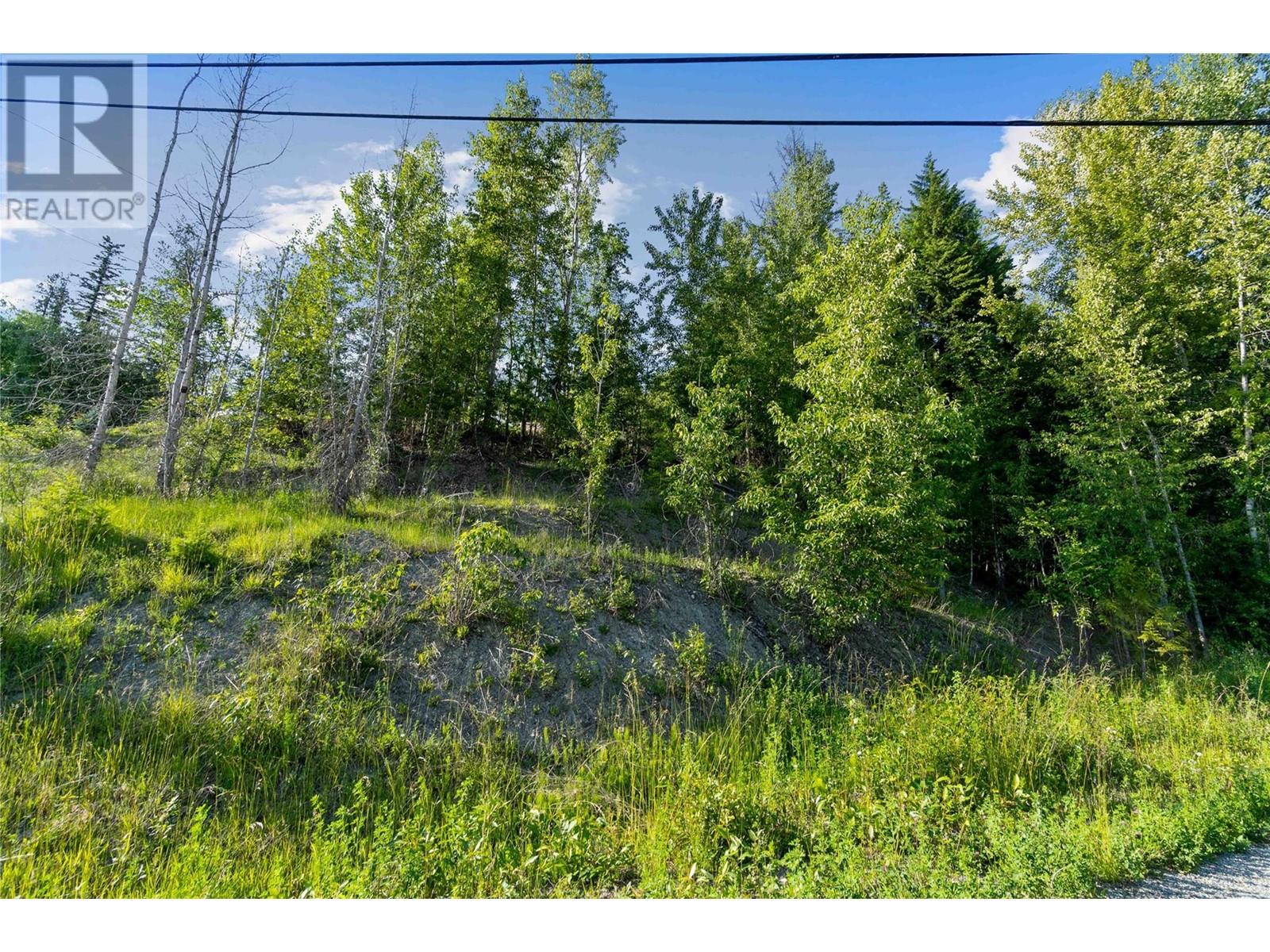 7227 Estate Drive, Anglemont, British Columbia  V0E 1M8 - Photo 5 - 10350823