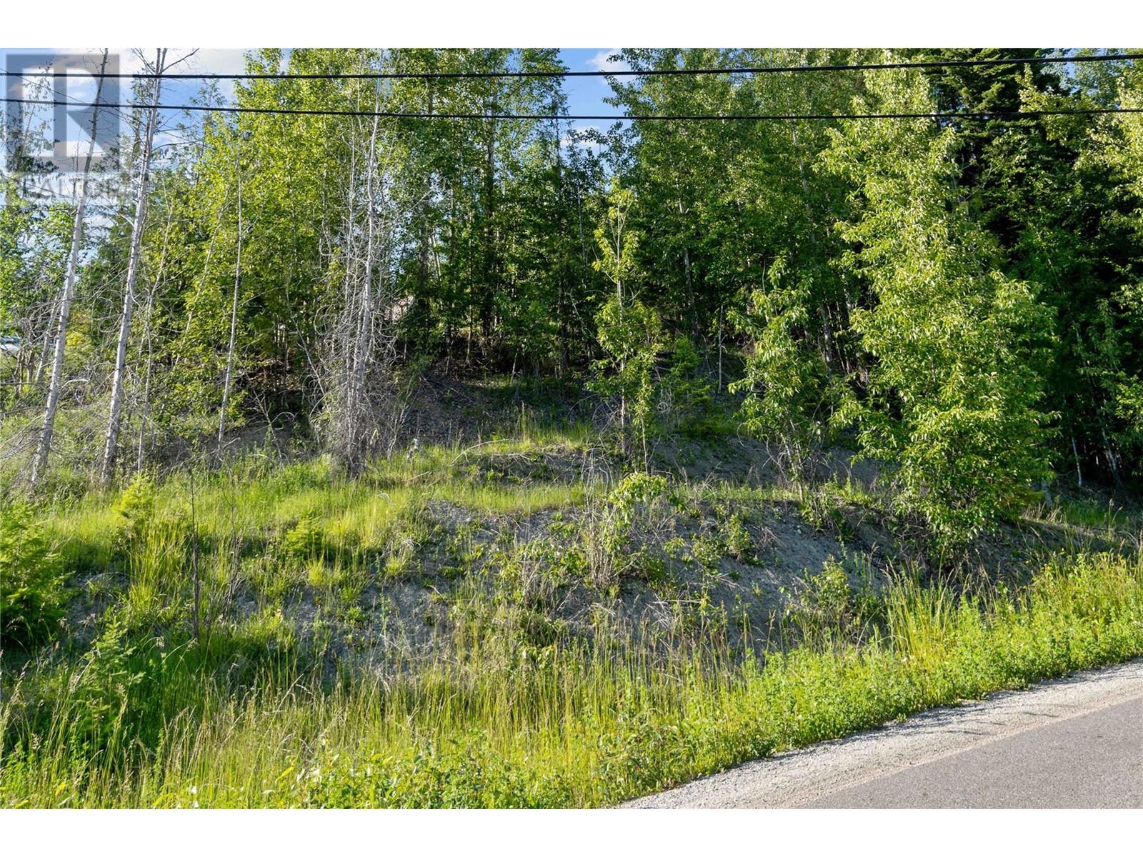 7227 Estate Drive, Anglemont, British Columbia  V0E 1M8 - Photo 6 - 10350823