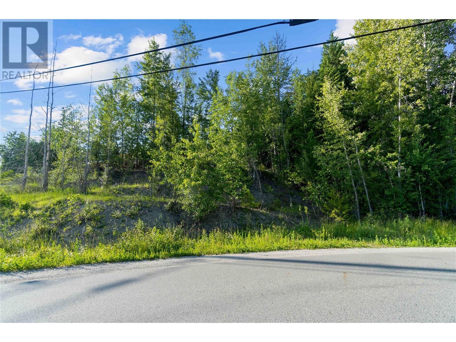 7227 Estate Drive, Anglemont, British Columbia  V0E 1M8 - Photo 8 - 10350823