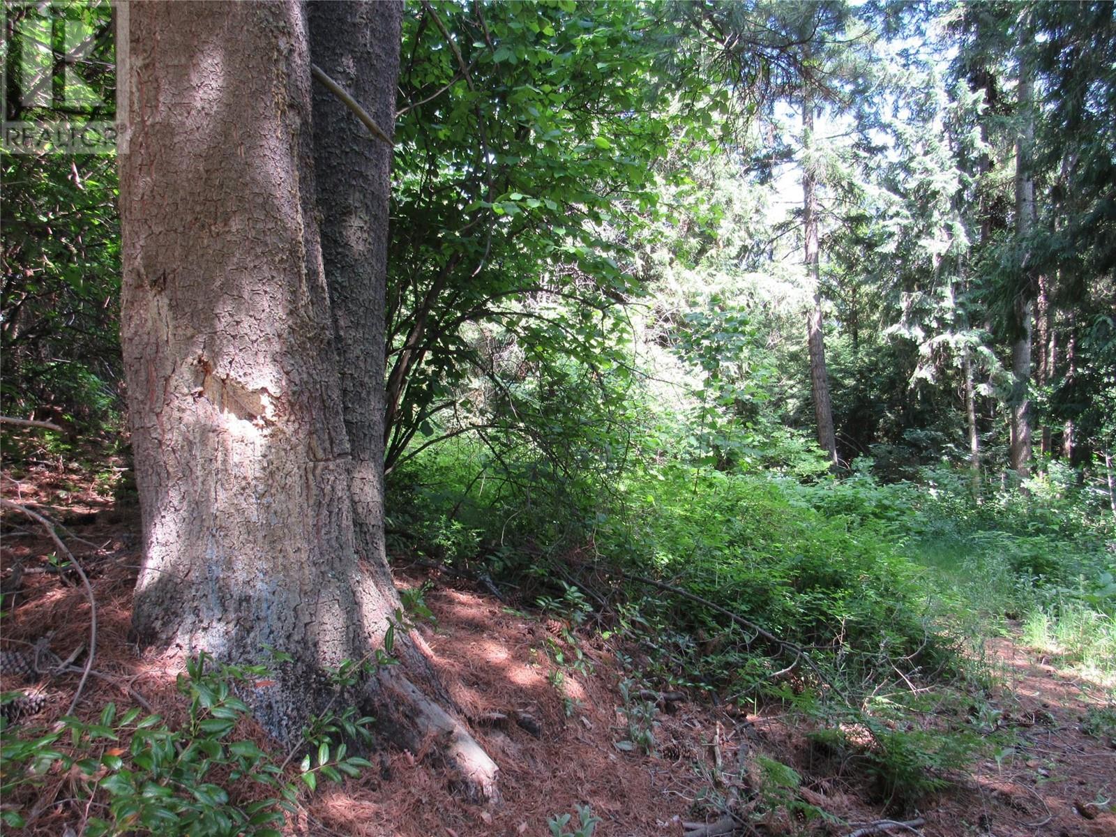 2532 10th Avenue Unit# Parcel A, Castlegar, British Columbia  V1N 3A2 - Photo 3 - 10349756