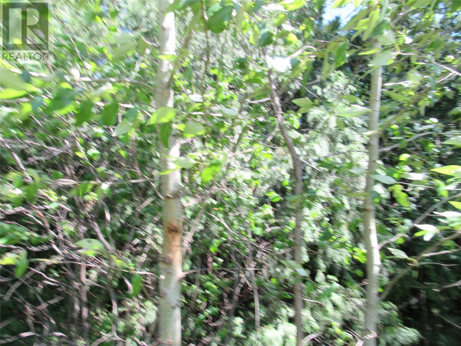 2532 10th Avenue Unit# Parcel A, Castlegar, British Columbia  V1N 3A2 - Photo 4 - 10349756