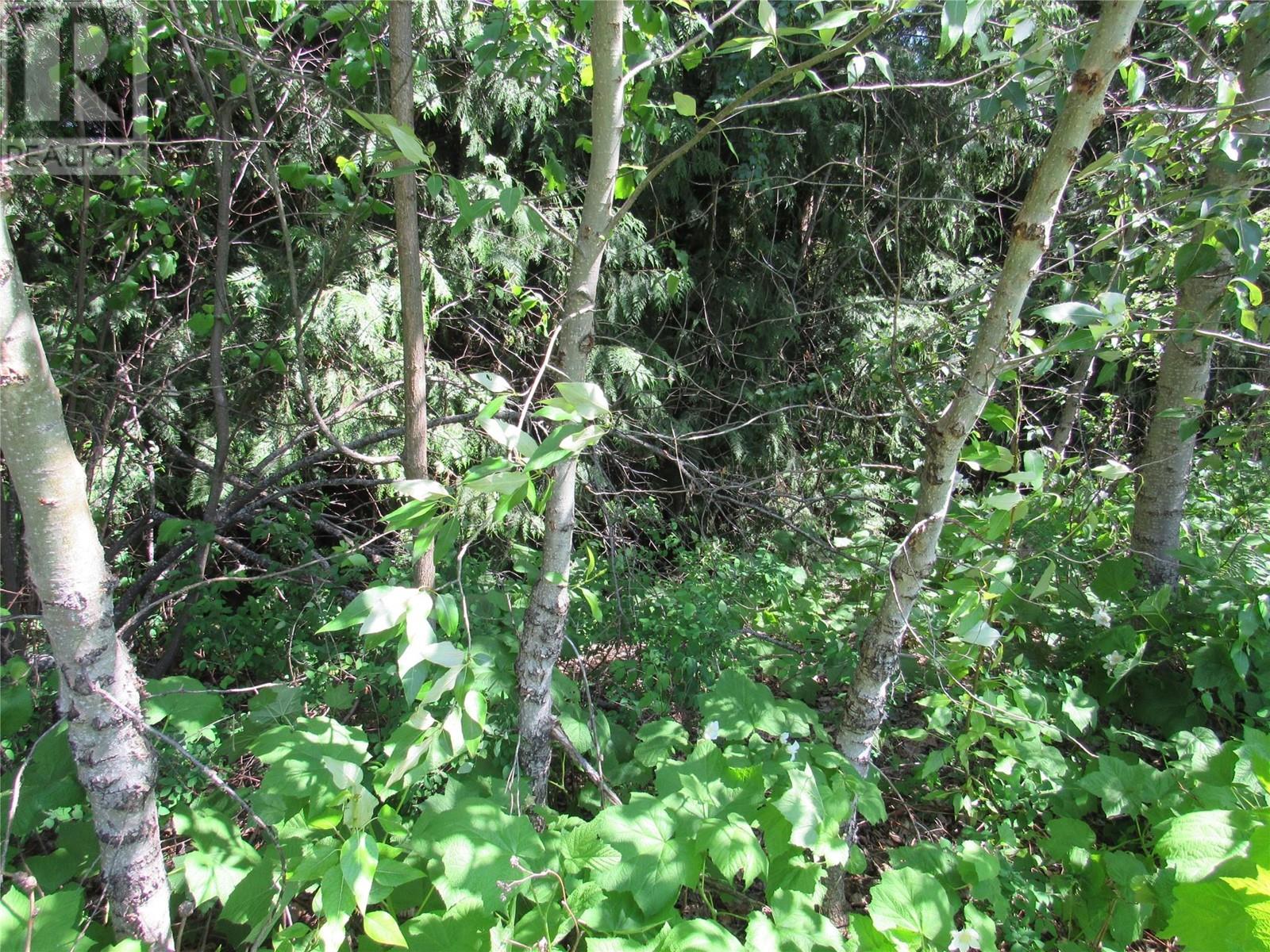 2532 10th Avenue Unit# Parcel A, Castlegar, British Columbia  V1N 3A2 - Photo 5 - 10349756