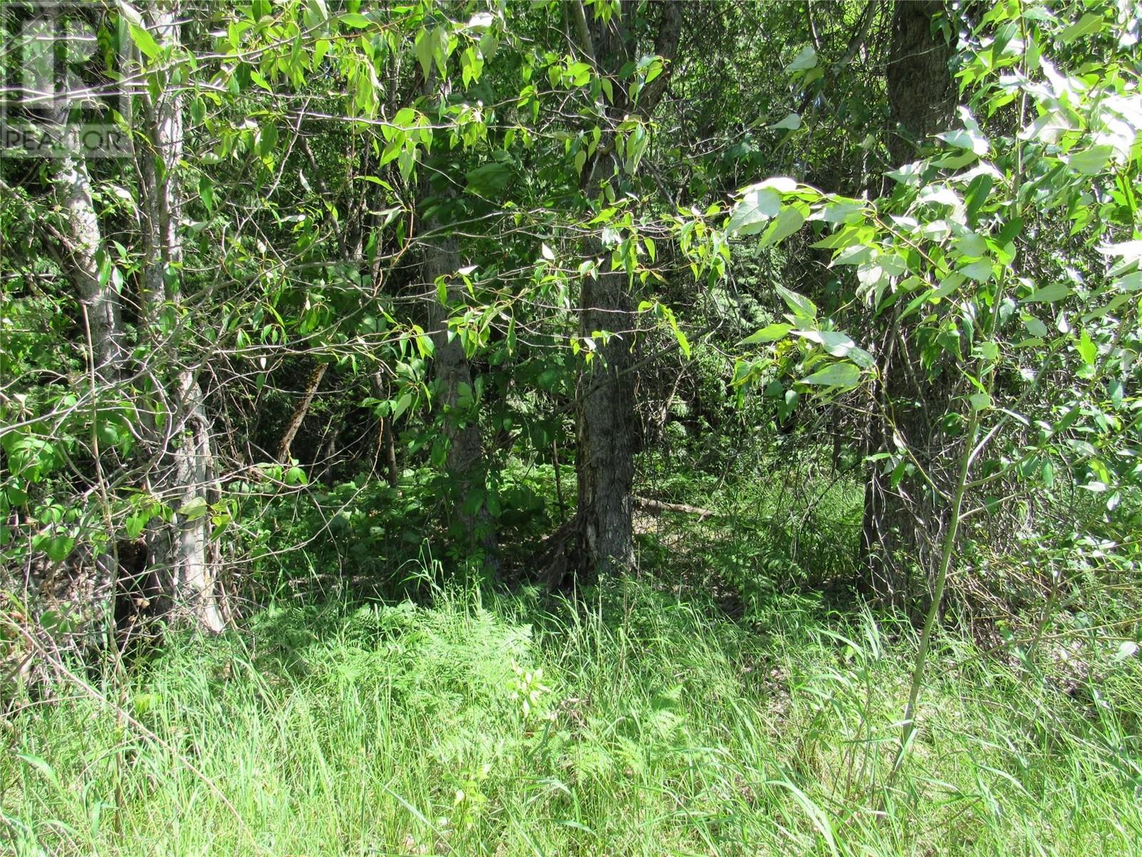 2532 10th Avenue Unit# Parcel A, Castlegar, British Columbia  V1N 3A2 - Photo 6 - 10349756