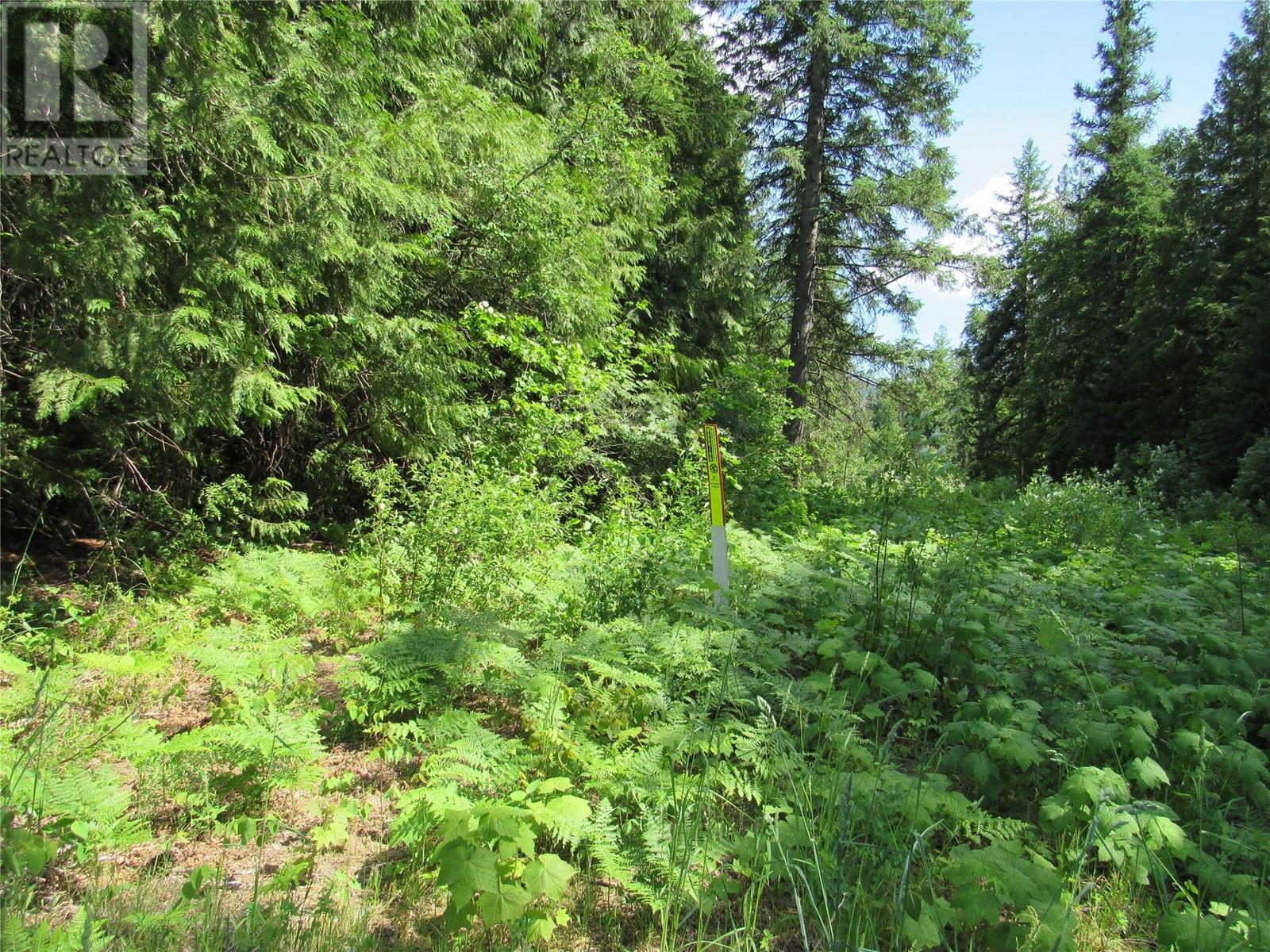 2532 10th Avenue Unit# Parcel A, Castlegar, British Columbia  V1N 3A2 - Photo 7 - 10349756