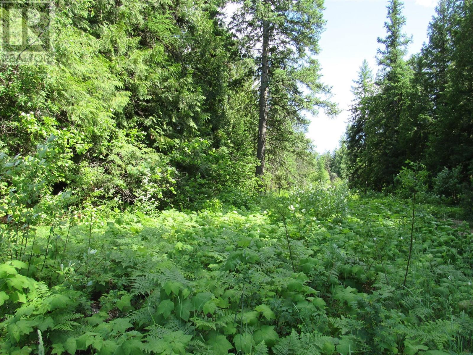 2532 10th Avenue Unit# Parcel A, Castlegar, British Columbia  V1N 3A2 - Photo 8 - 10349756