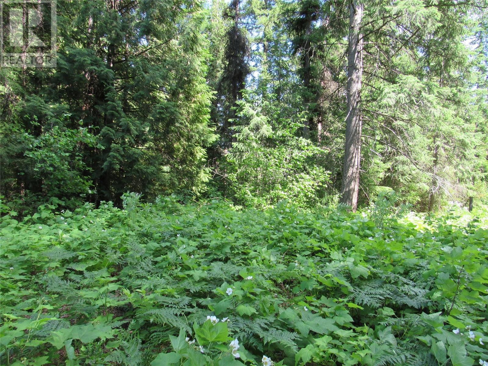 2532 10th Avenue Unit# Parcel A, Castlegar, British Columbia  V1N 3A2 - Photo 9 - 10349756