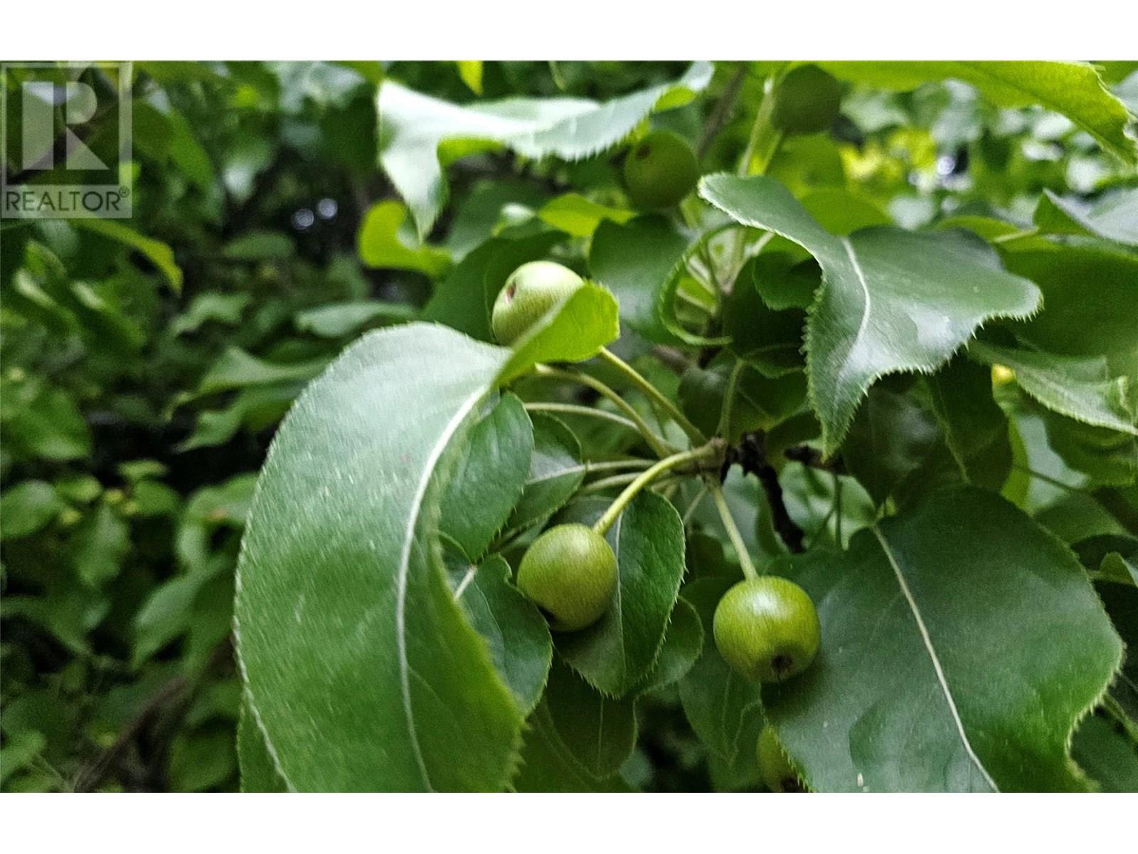 1056 Caledonia Way, West Kelowna, British Columbia  V1Z 3N7 - Photo 44 - 10351376