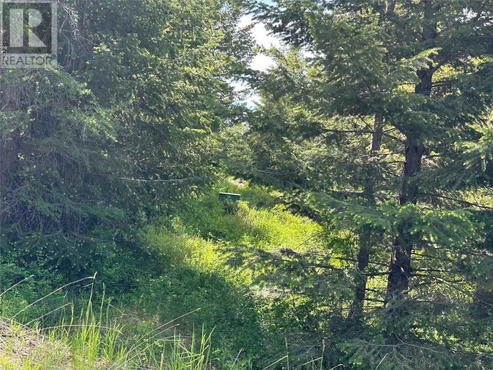 1333 Timberwolf Trail, Bridesville, British Columbia  V0H 1Y0 - Photo 11 - 10351458