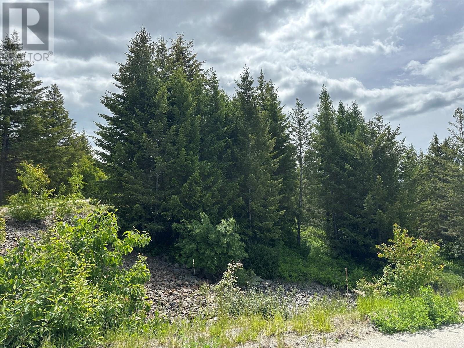 1333 Timberwolf Trail, Bridesville, British Columbia  V0H 1Y0 - Photo 22 - 10351458