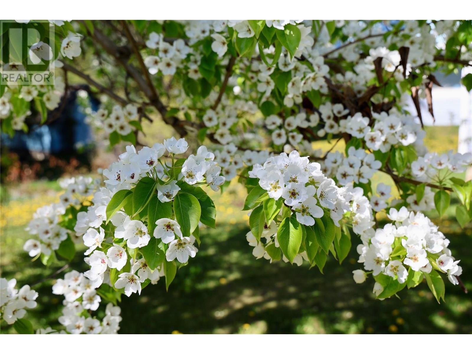 3361 & 3365 95 Highway, Golden, British Columbia  V0A 1L0 - Photo 16 - 10351776