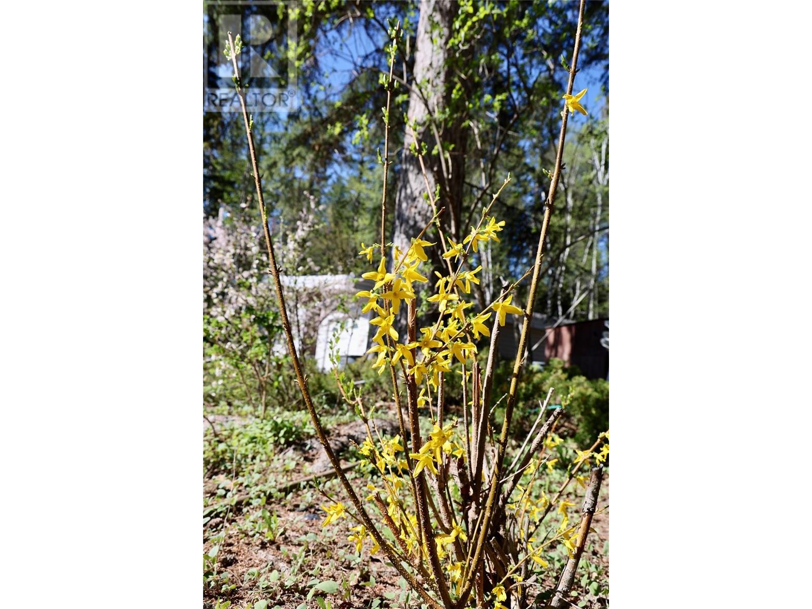 3361 & 3365 95 Highway, Golden, British Columbia  V0A 1L0 - Photo 18 - 10351776