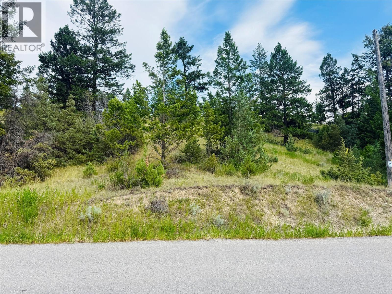 Lot 57 Upper Lakeview Road, Windermere, British Columbia  V0B 1L0 - Photo 16 - 10351808