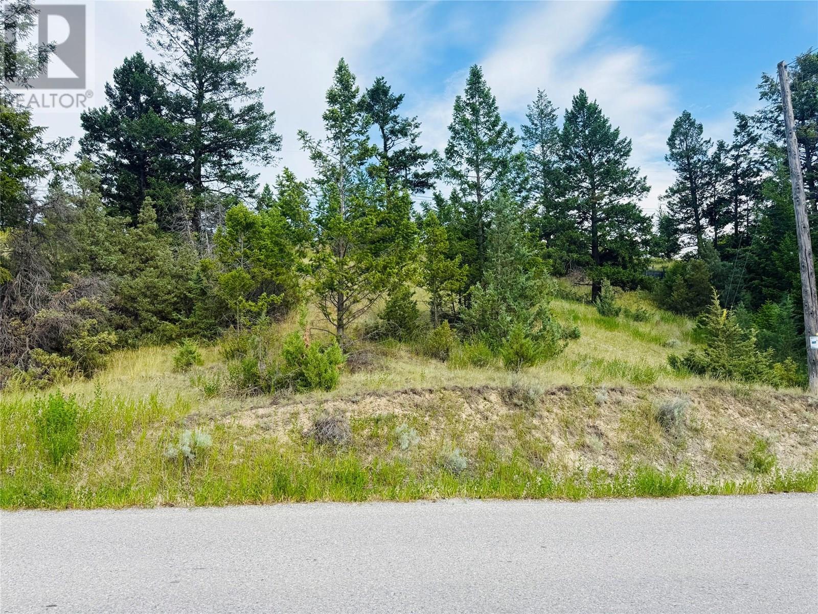 Lot 57 Upper Lakeview Road, Windermere, British Columbia  V0B 1L0 - Photo 6 - 10351808