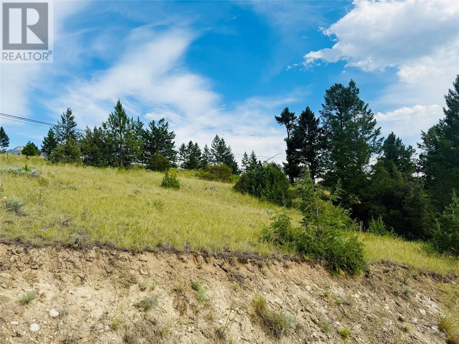 Lot 57 Upper Lakeview Road, Windermere, British Columbia  V0B 1L0 - Photo 9 - 10351808