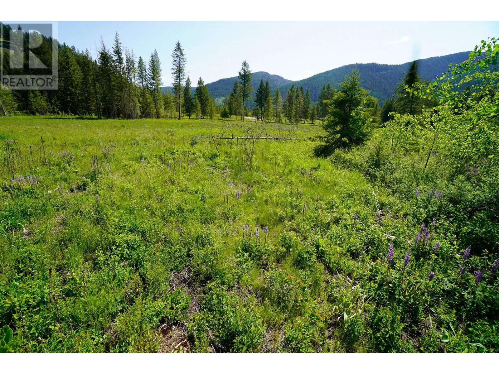 Lot 4 Mary G Road, Beaverdell, British Columbia  V0H 1A0 - Photo 12 - 10351810