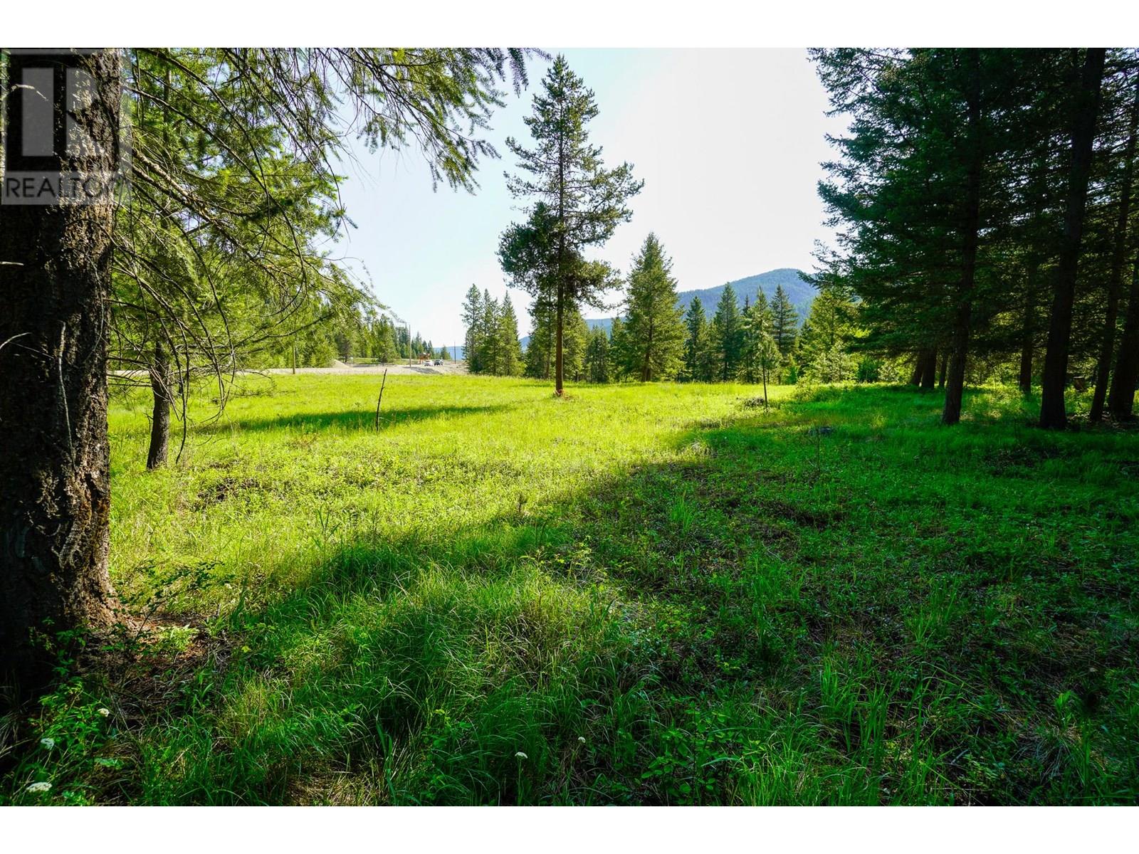 Lot 2 Mary G Road, Beaverdell, British Columbia  V0H 1A0 - Photo 10 - 10351657