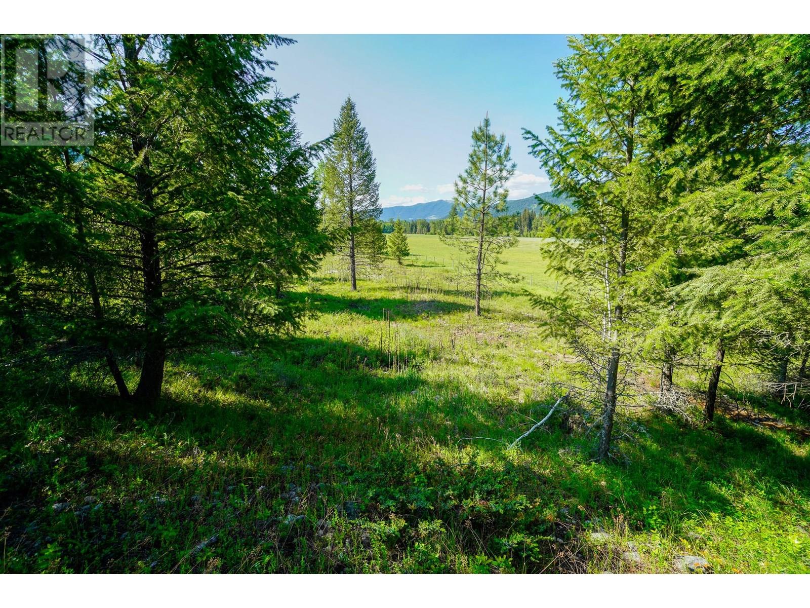 Lot 7 Mary G Road, Beaverdell, British Columbia  V0H 1A0 - Photo 8 - 10351855