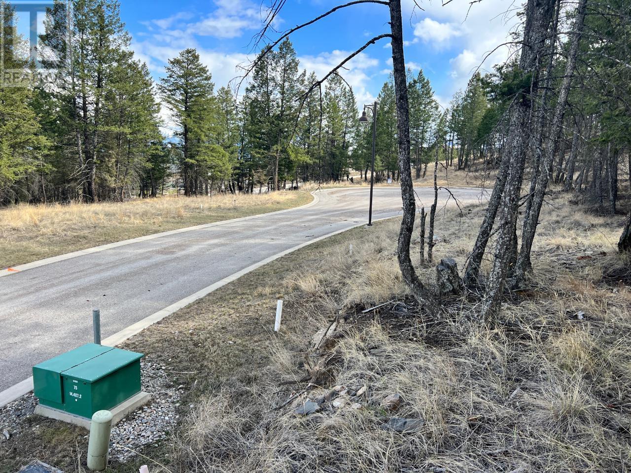 Lot 48 Pine Ridge Mountain Lane, Invermere, British Columbia  V0A 1K4 - Photo 13 - 10351992