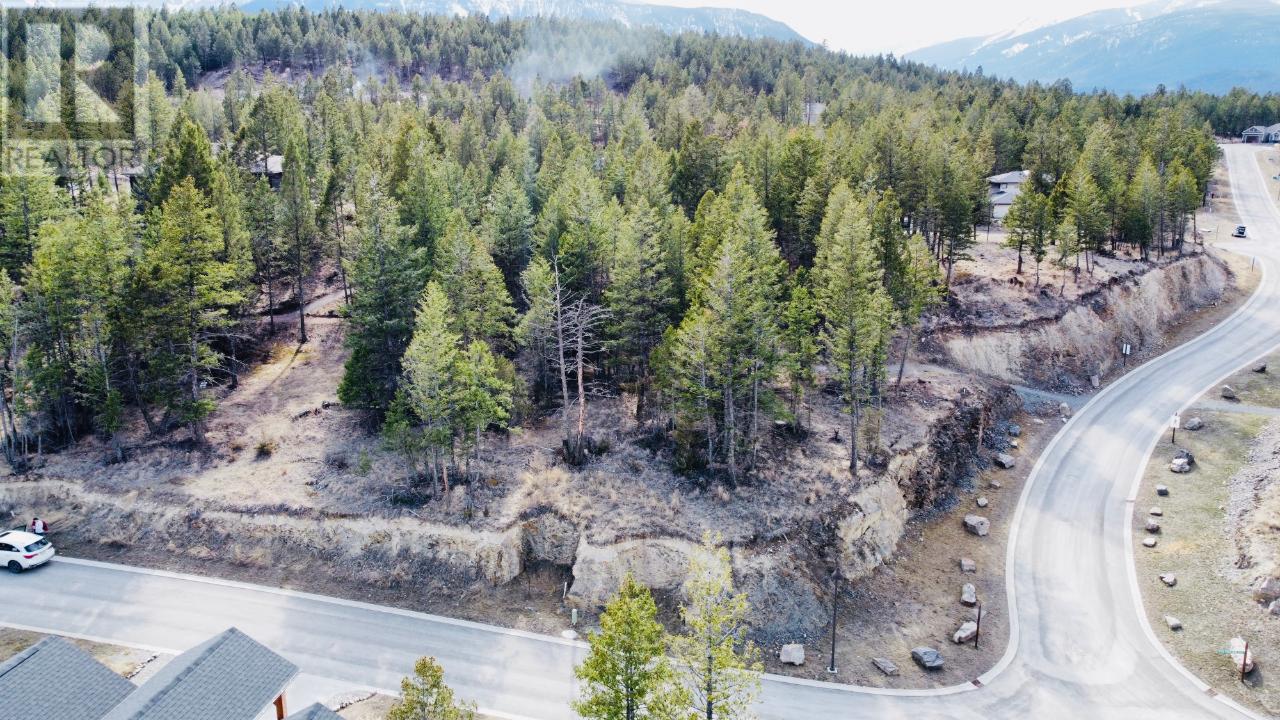 Lot 48 Pine Ridge Mountain Lane, Invermere, British Columbia  V0A 1K4 - Photo 5 - 10351992