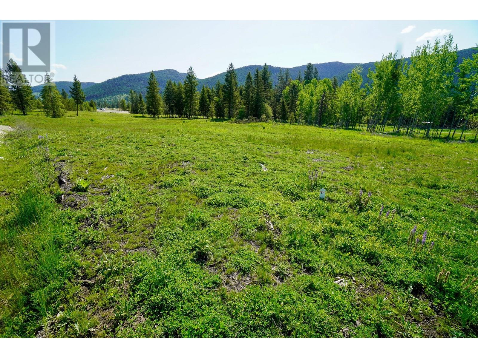 Lot 3 Mary G Road, Beaverdell, British Columbia  V0H 1A0 - Photo 13 - 10351770