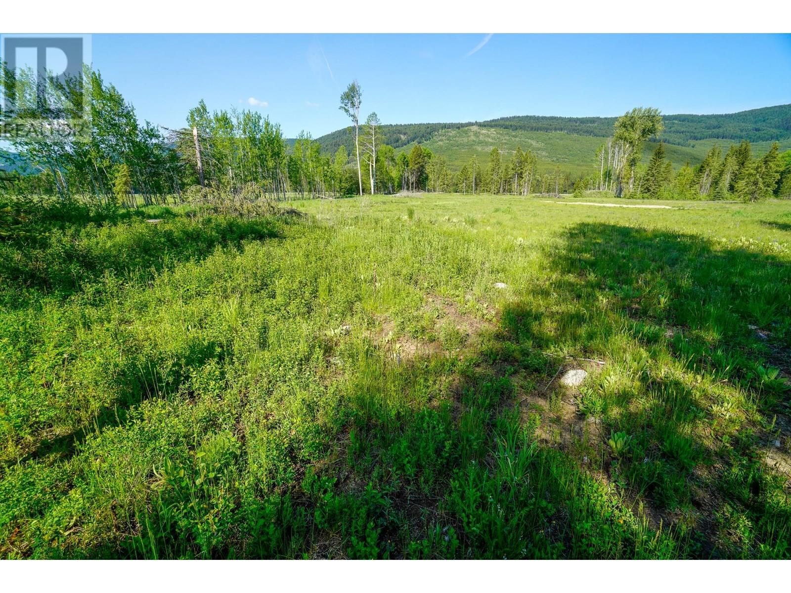 Lot 3 Mary G Road, Beaverdell, British Columbia  V0H 1A0 - Photo 5 - 10351770