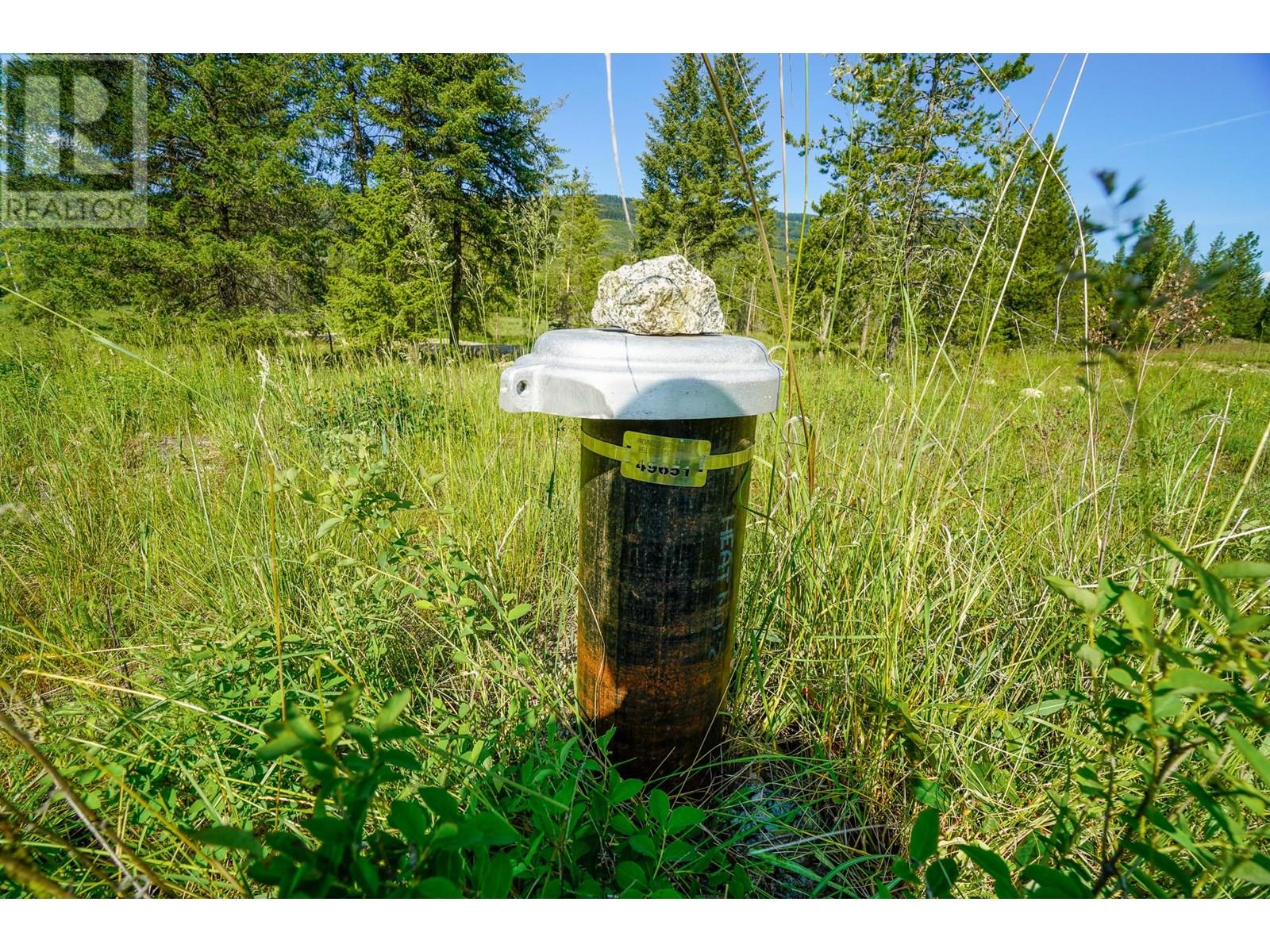 Lot 3 Mary G Road, Beaverdell, British Columbia  V0H 1A0 - Photo 9 - 10351770