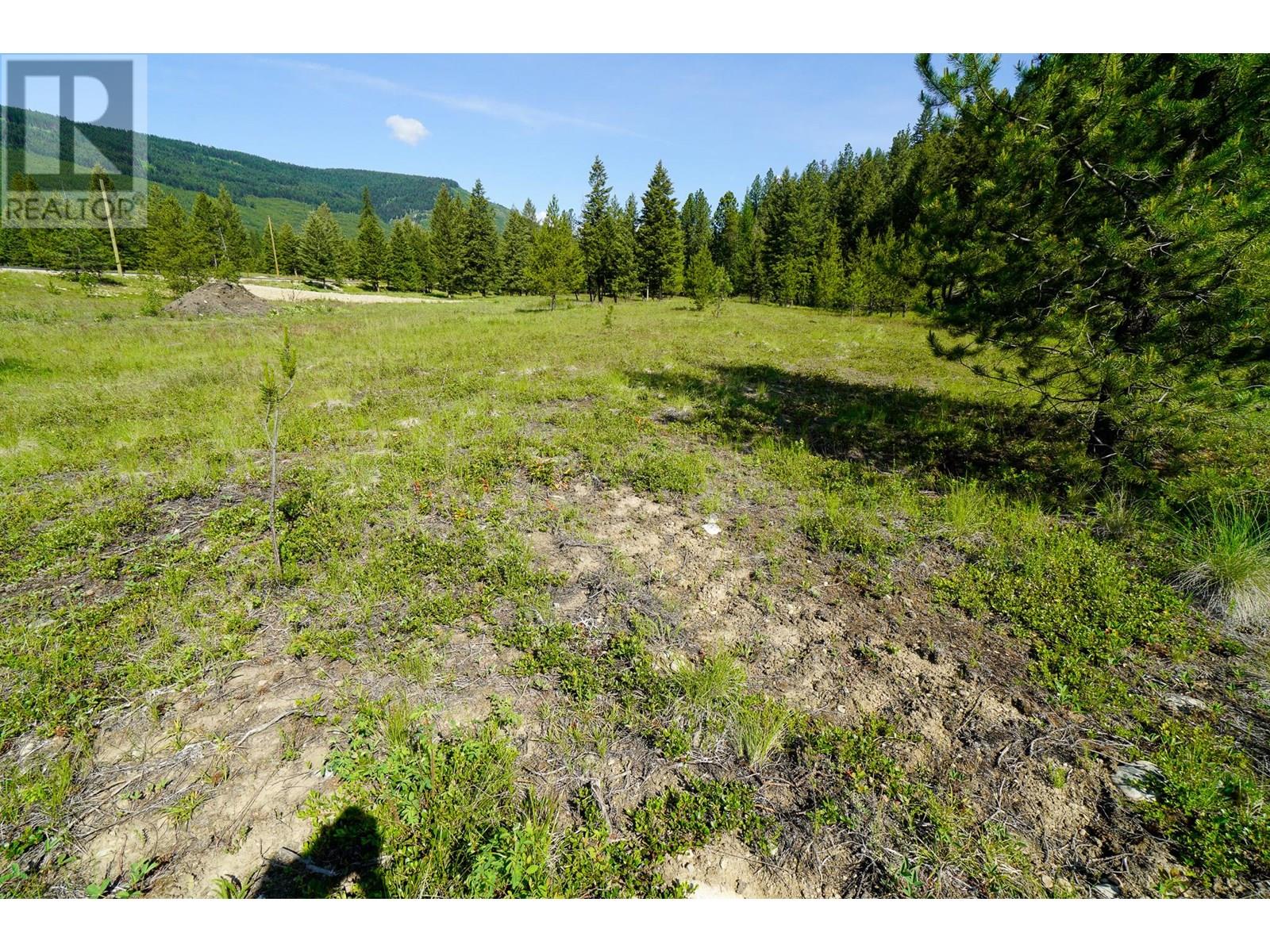 Lot 9 Mary G Road, Beaverdell, British Columbia  V0H 1A0 - Photo 6 - 10351887