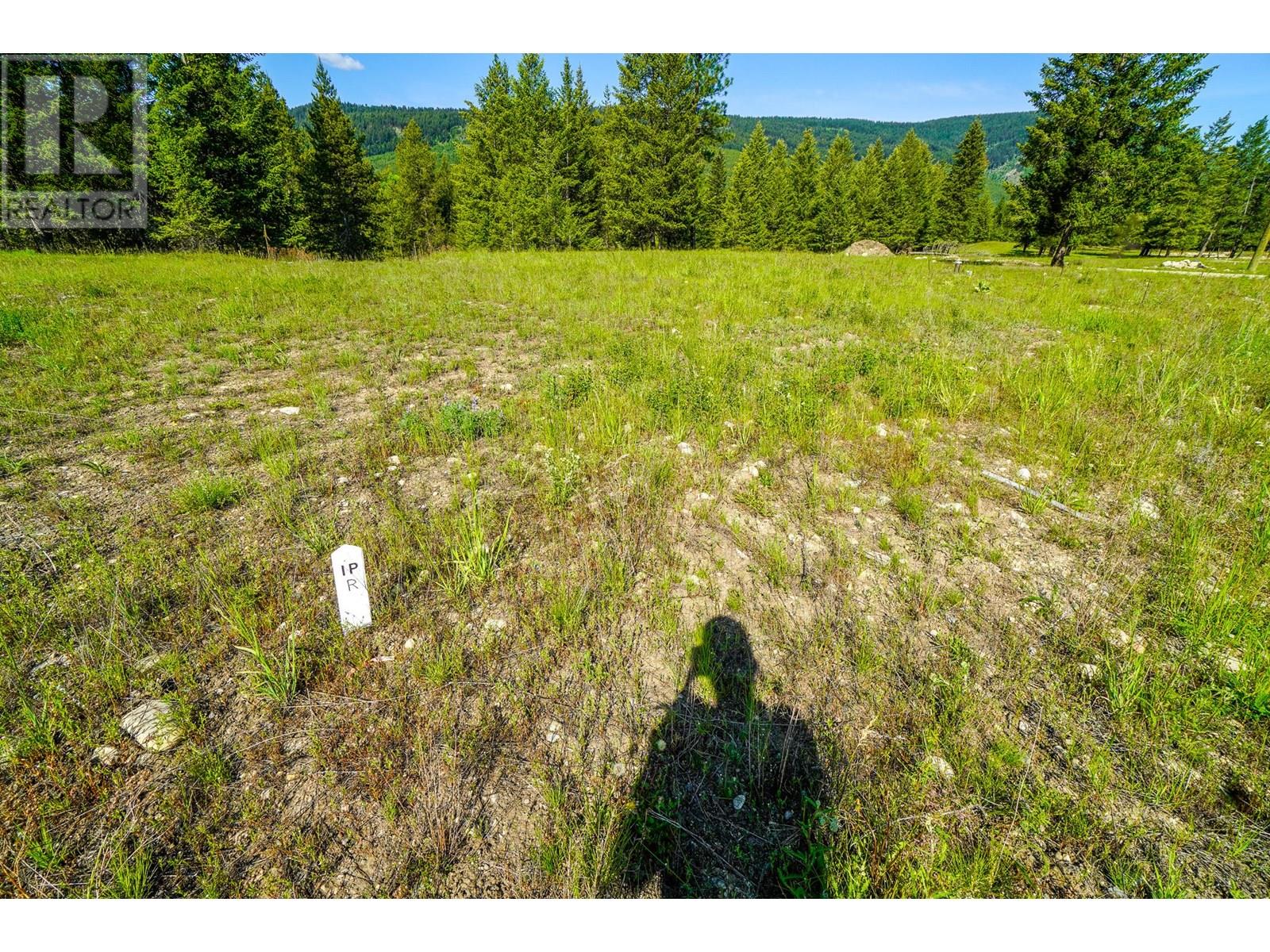 Lot 5 Mary G Road, Beaverdell, British Columbia  V0H 1A0 - Photo 4 - 10351828